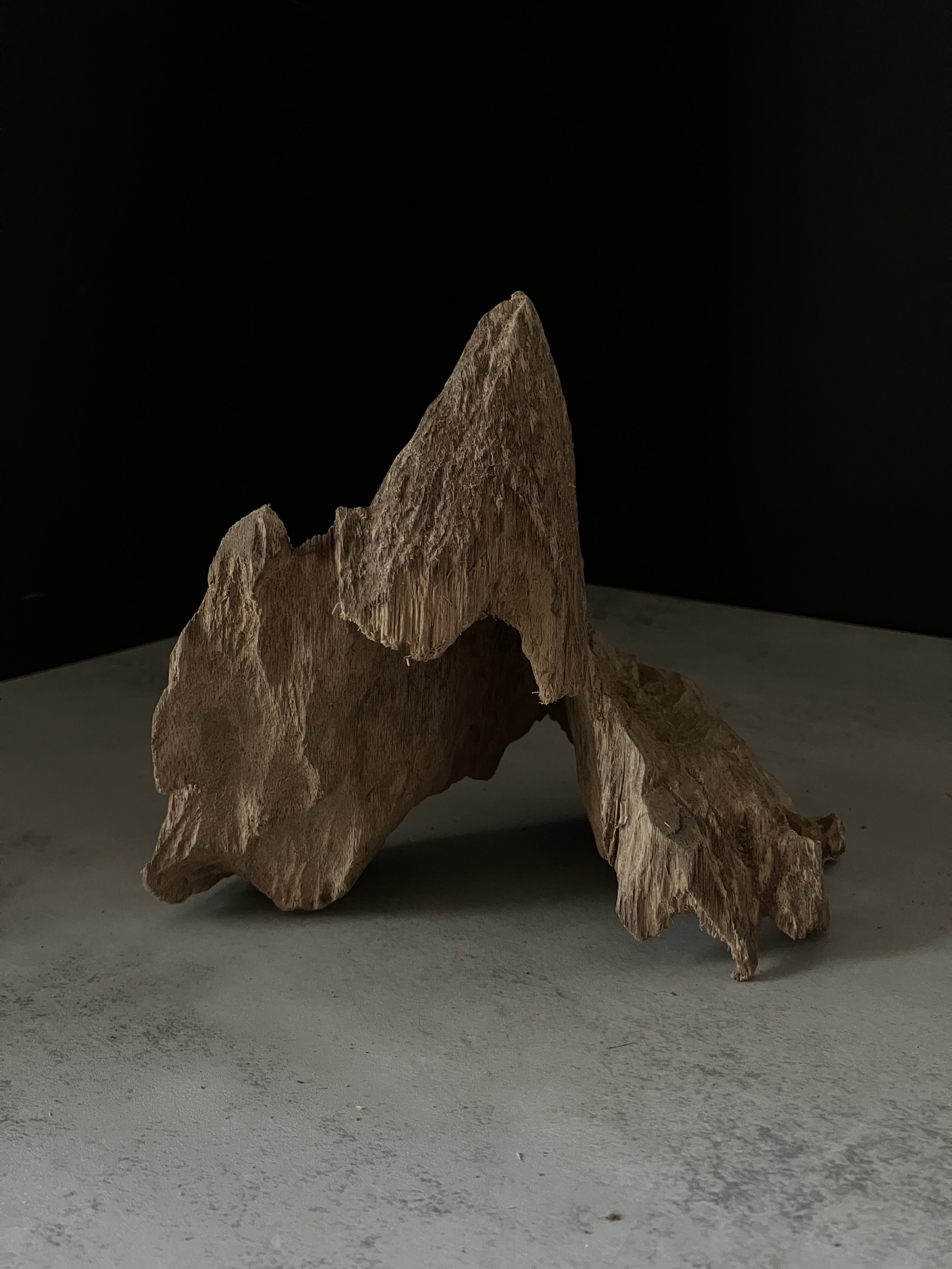 image_0EAA62CD-0D40-4DD9-9104-EC0E85B3A332_1764057225