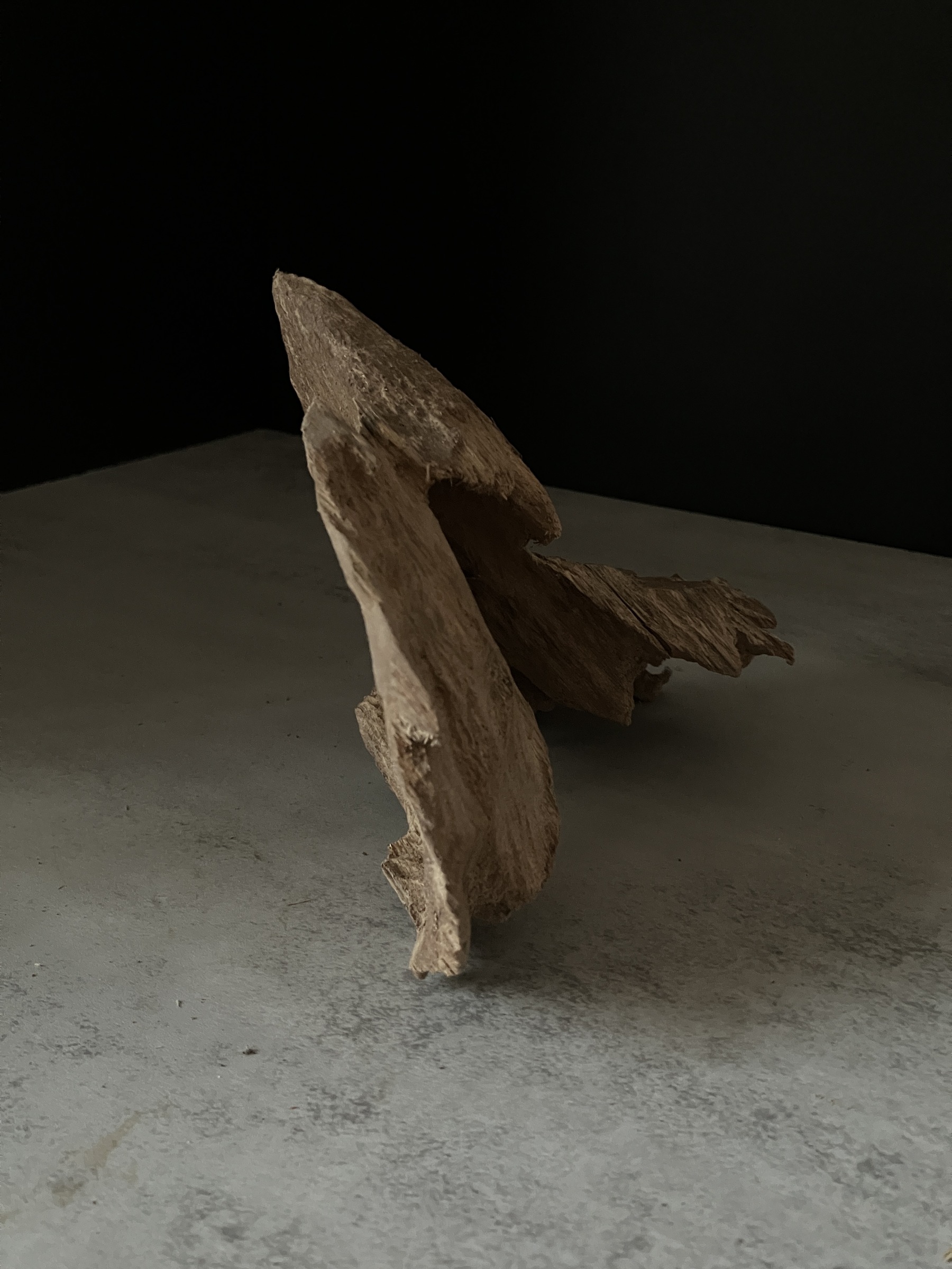 image_54F9C9AC-EFA3-45F6-95FC-AC83C36F71BC_1764057225