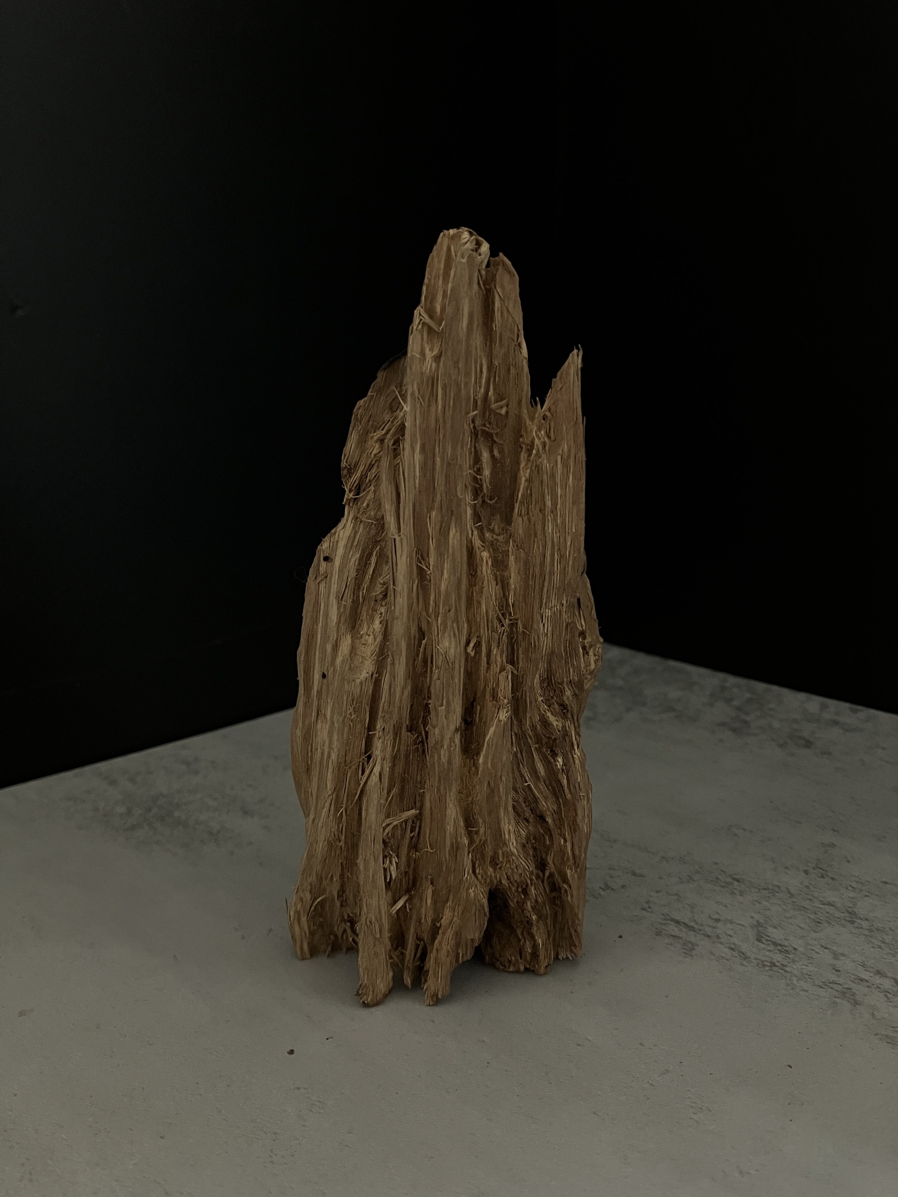 image_4737B7E9-004C-4BCF-AB13-691C58C51F98_1764057349