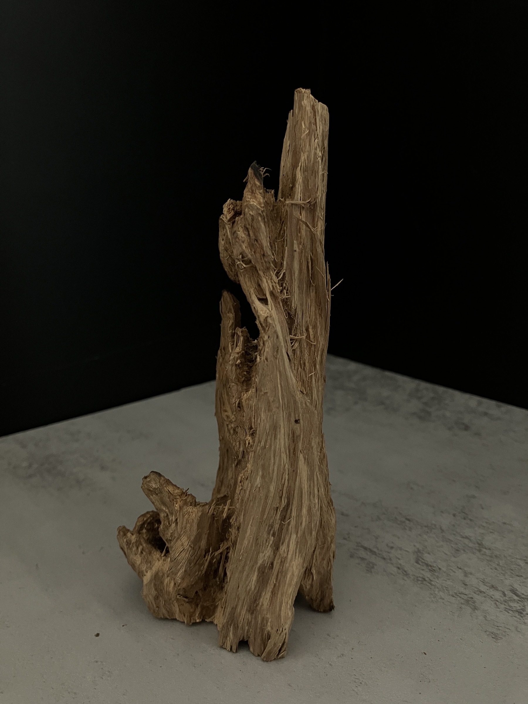 image_9090BE1A-8050-4EFF-8AC7-007655BFA7AC_1764057350