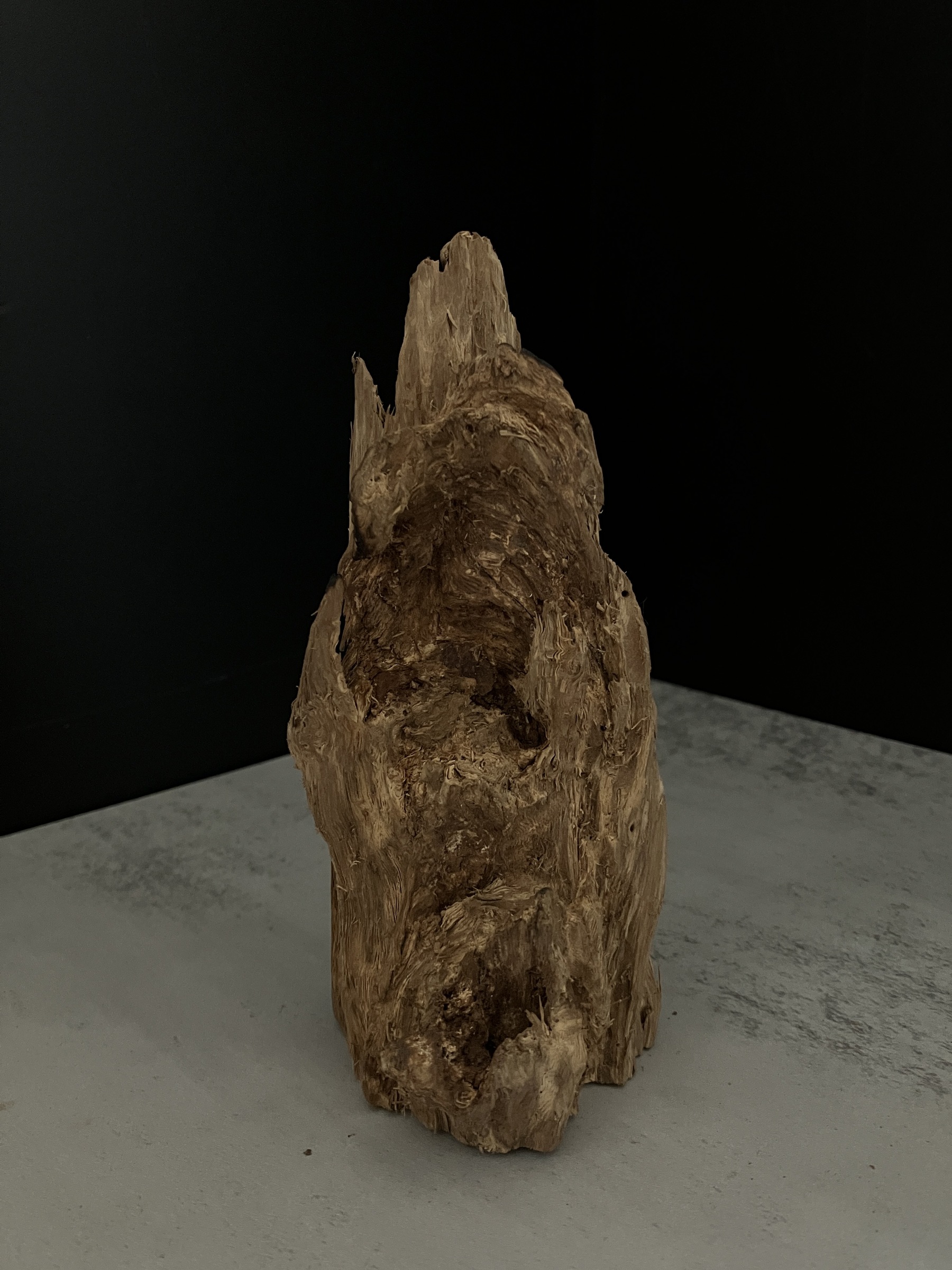 image_405182D6-1E69-476D-A9F4-F37A27040EA0_1764057350