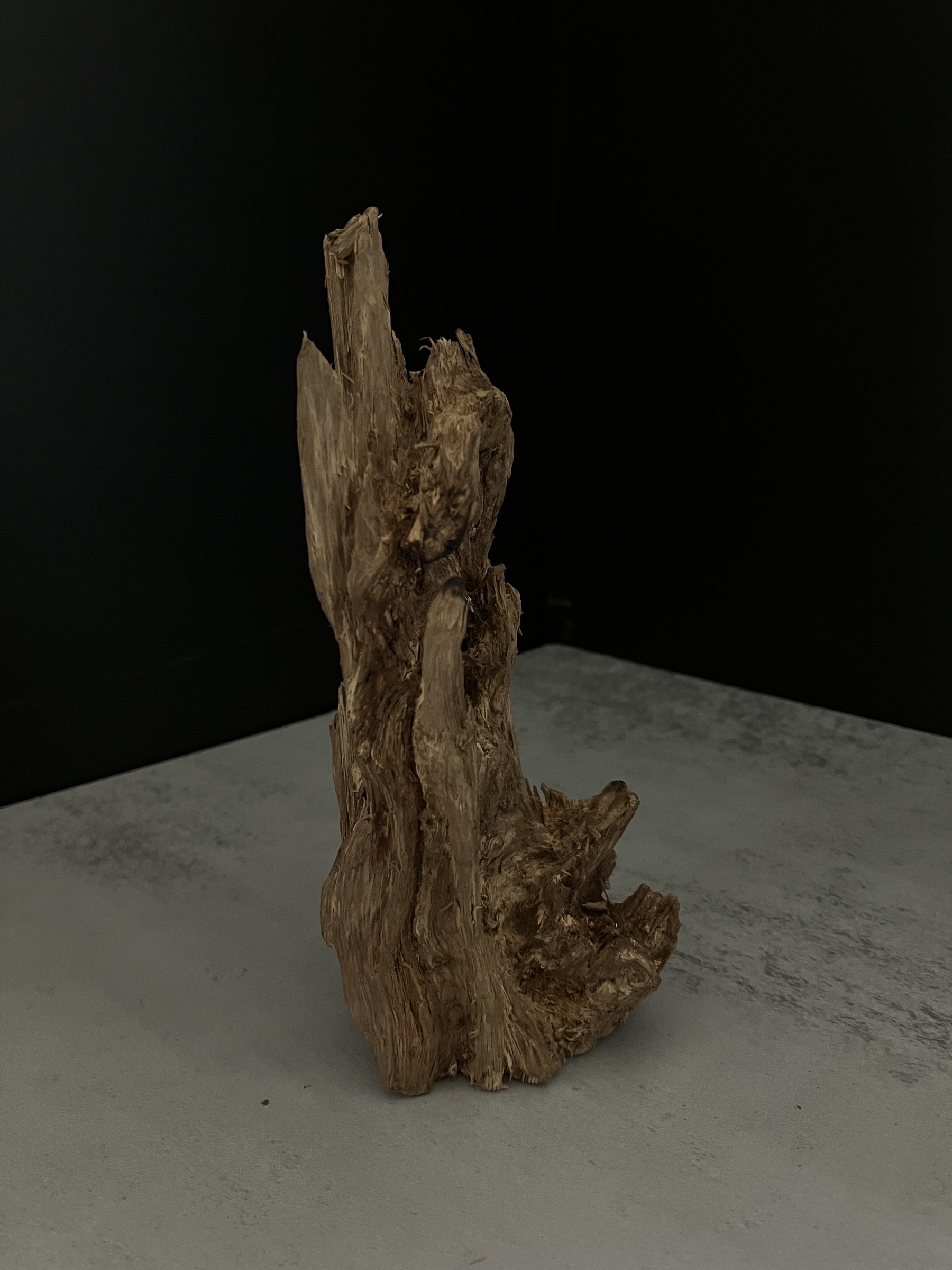 image_DB7C5F48-07AA-4A39-9E00-5D64B36AB396_1764057350