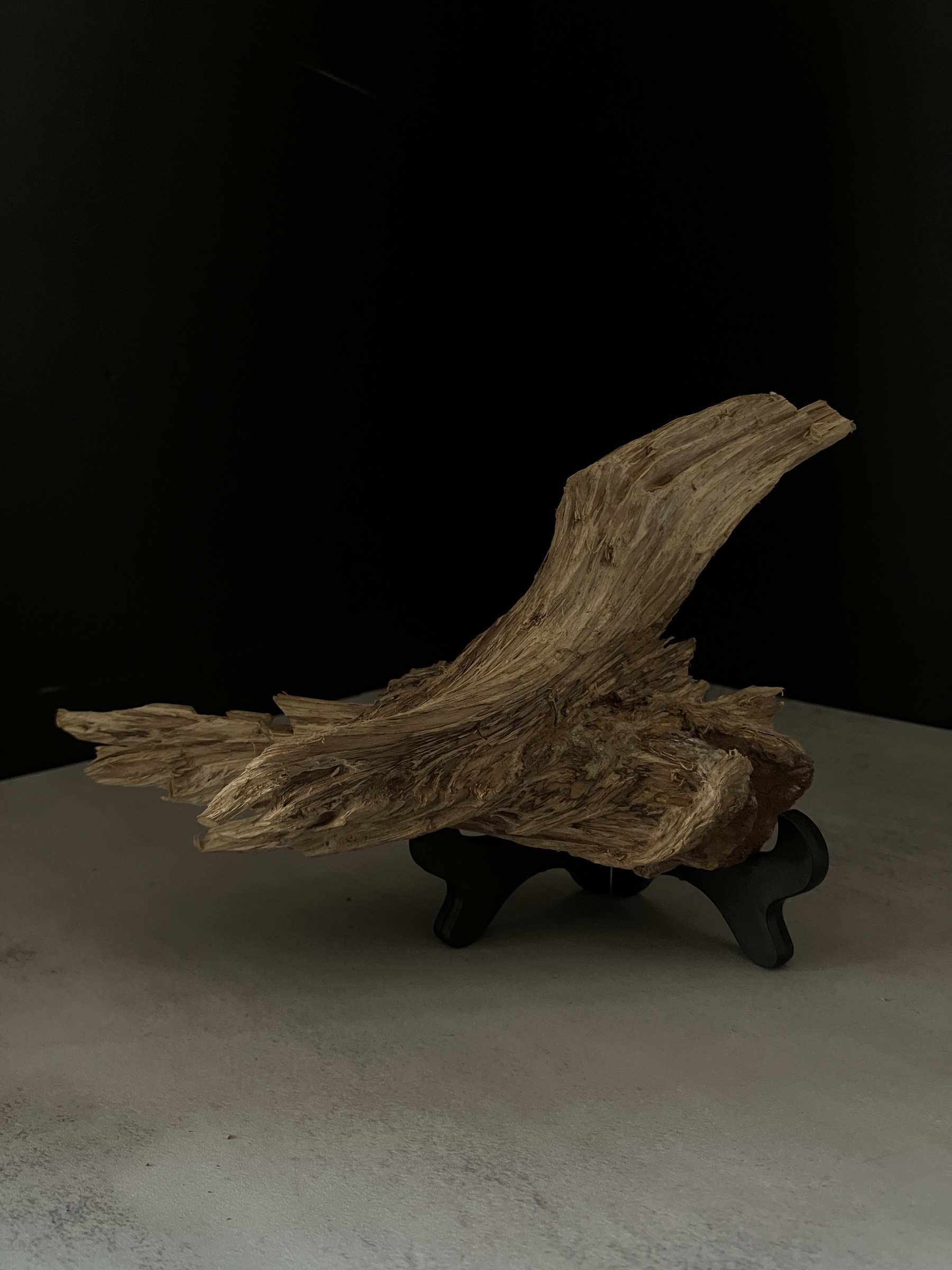 image_1C0C0EB4-3960-4BBC-B6E9-B1D420EBFC7E_1764057422