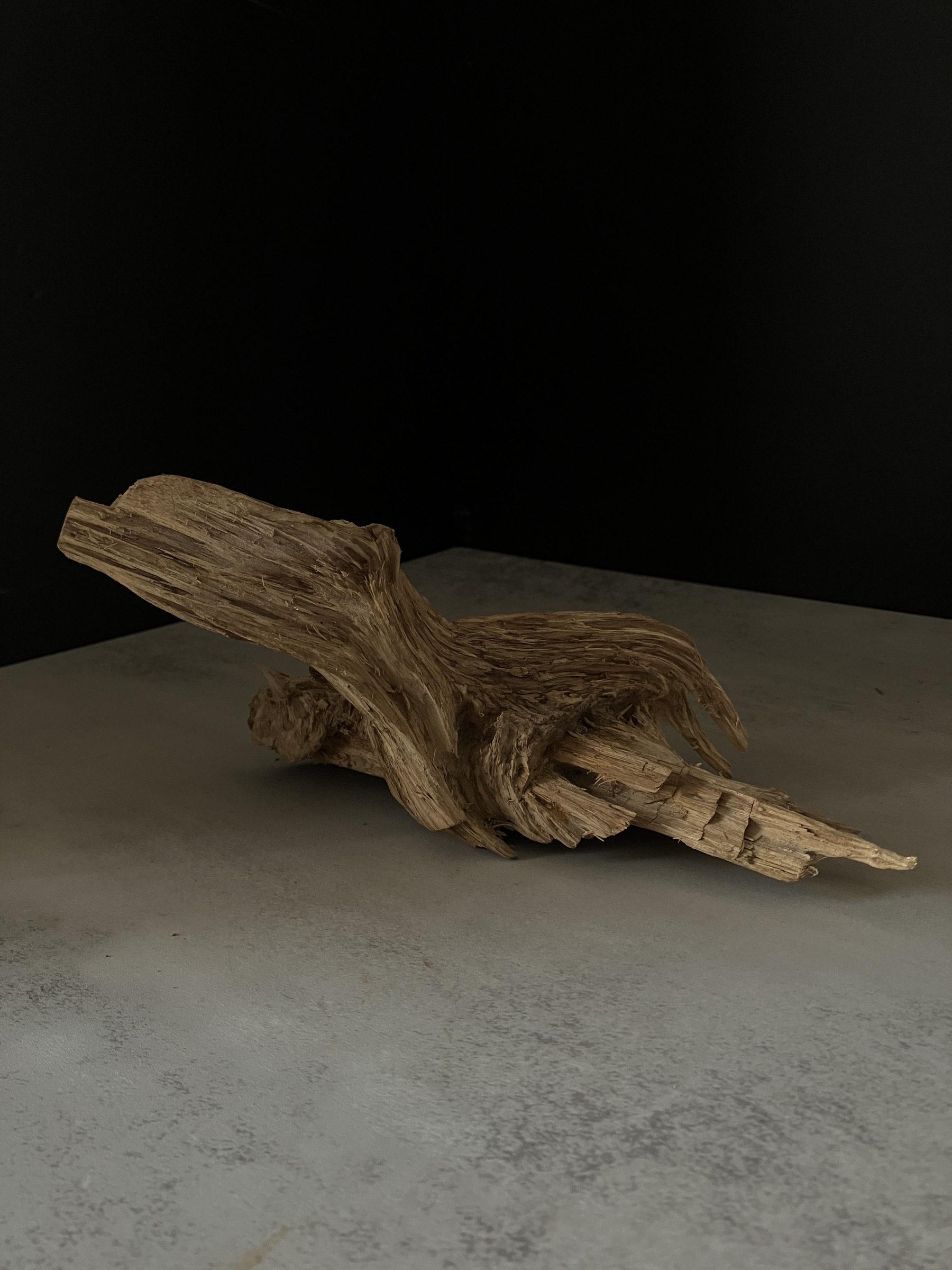 image_01D518C1-62DA-4651-9974-9EDD5AAC8A76_1764057422