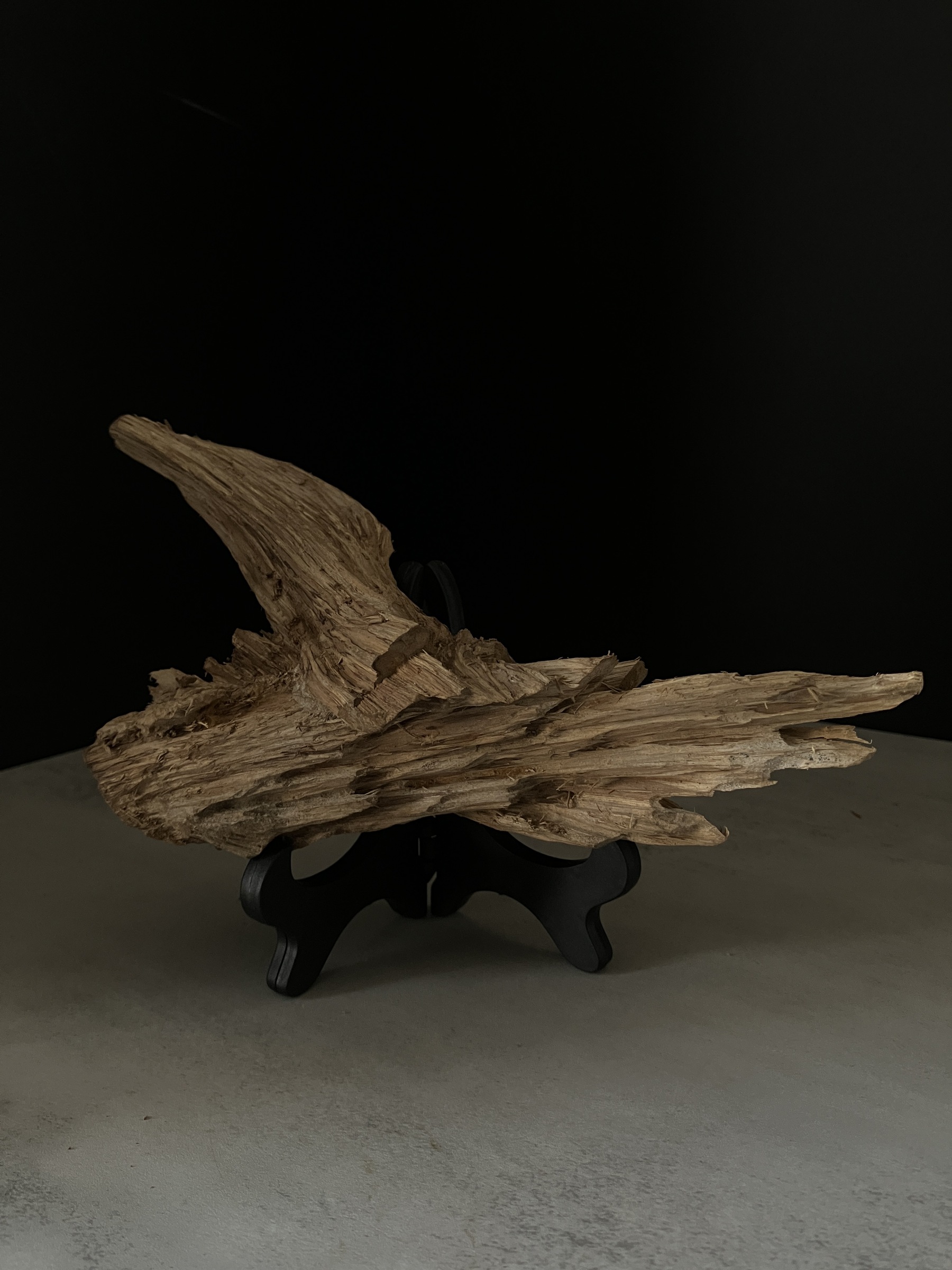 image_2C290135-C8C4-479A-8F23-F6740A1479B1_1764057422