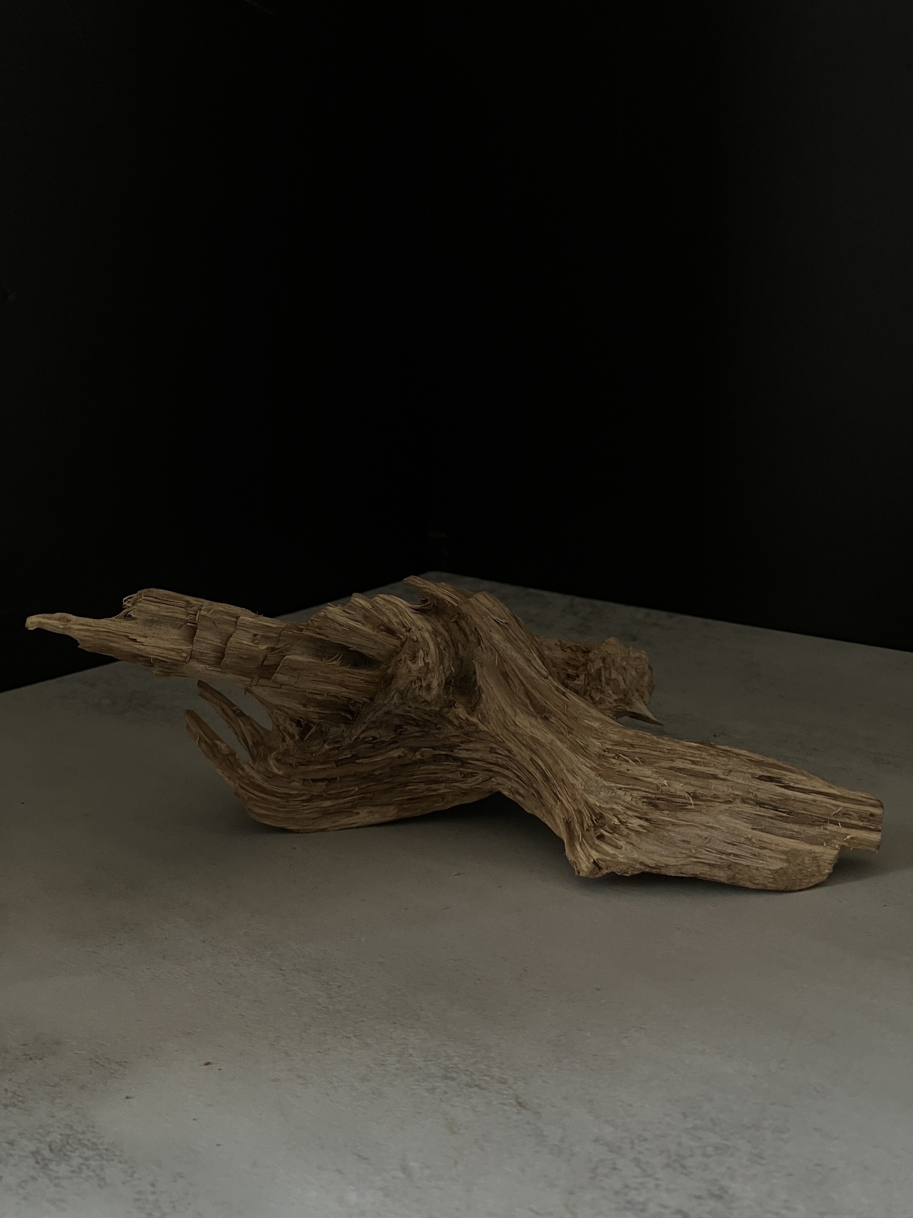 image_B494B927-D55A-4F0C-A909-8AF90782F5C2_1764057422