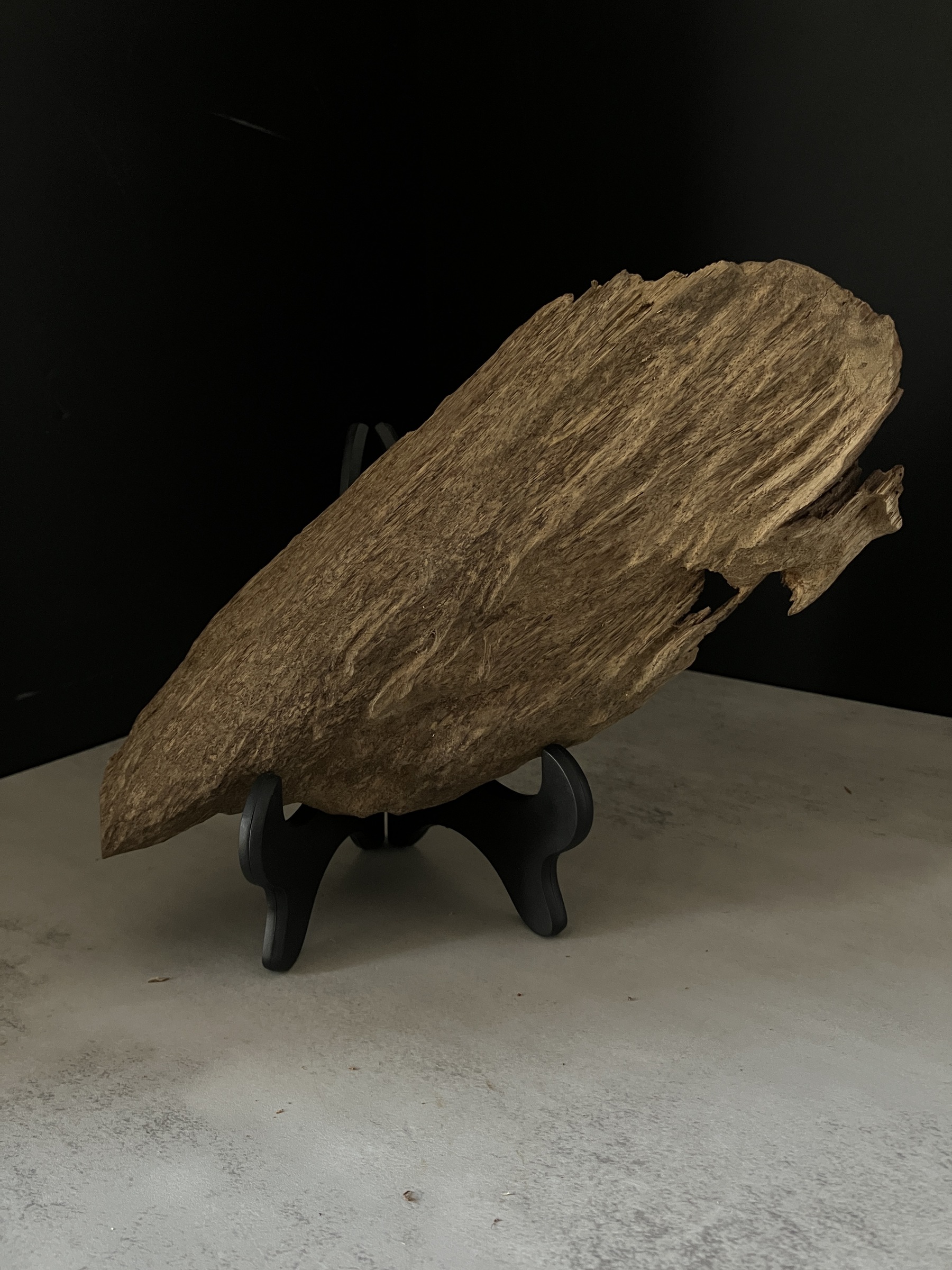 image_F3741552-1356-42DB-A4E9-663932F77B94_1764057505