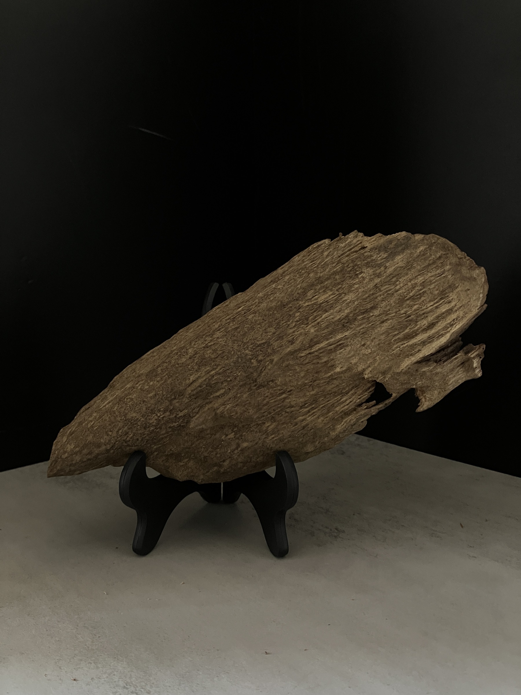 image_80329184-84B7-4FE5-84E3-CBA5F4850F6D_1764057505