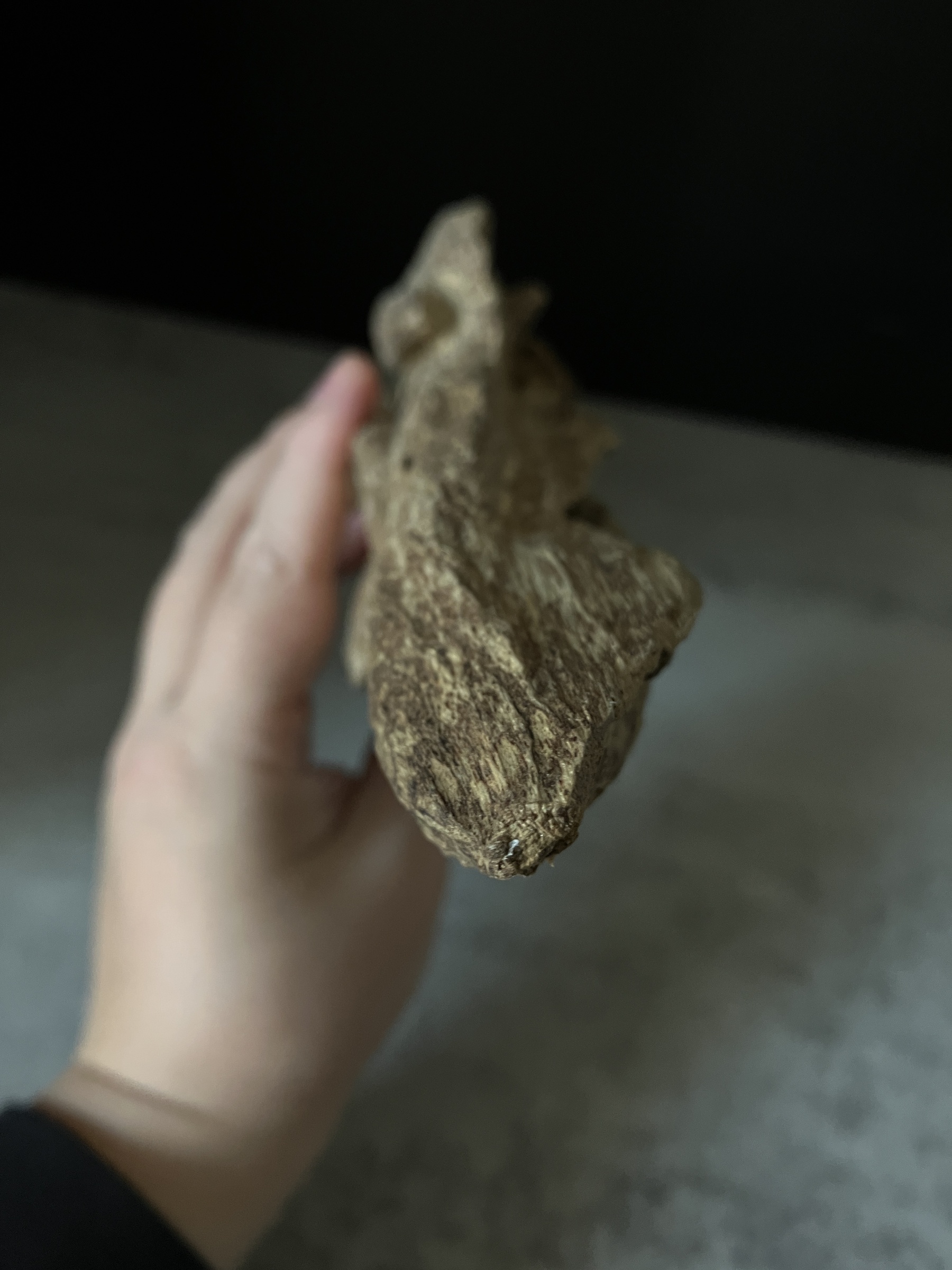 image_2A814516-9BC7-4FA3-B275-44770E857D2E_1764057585