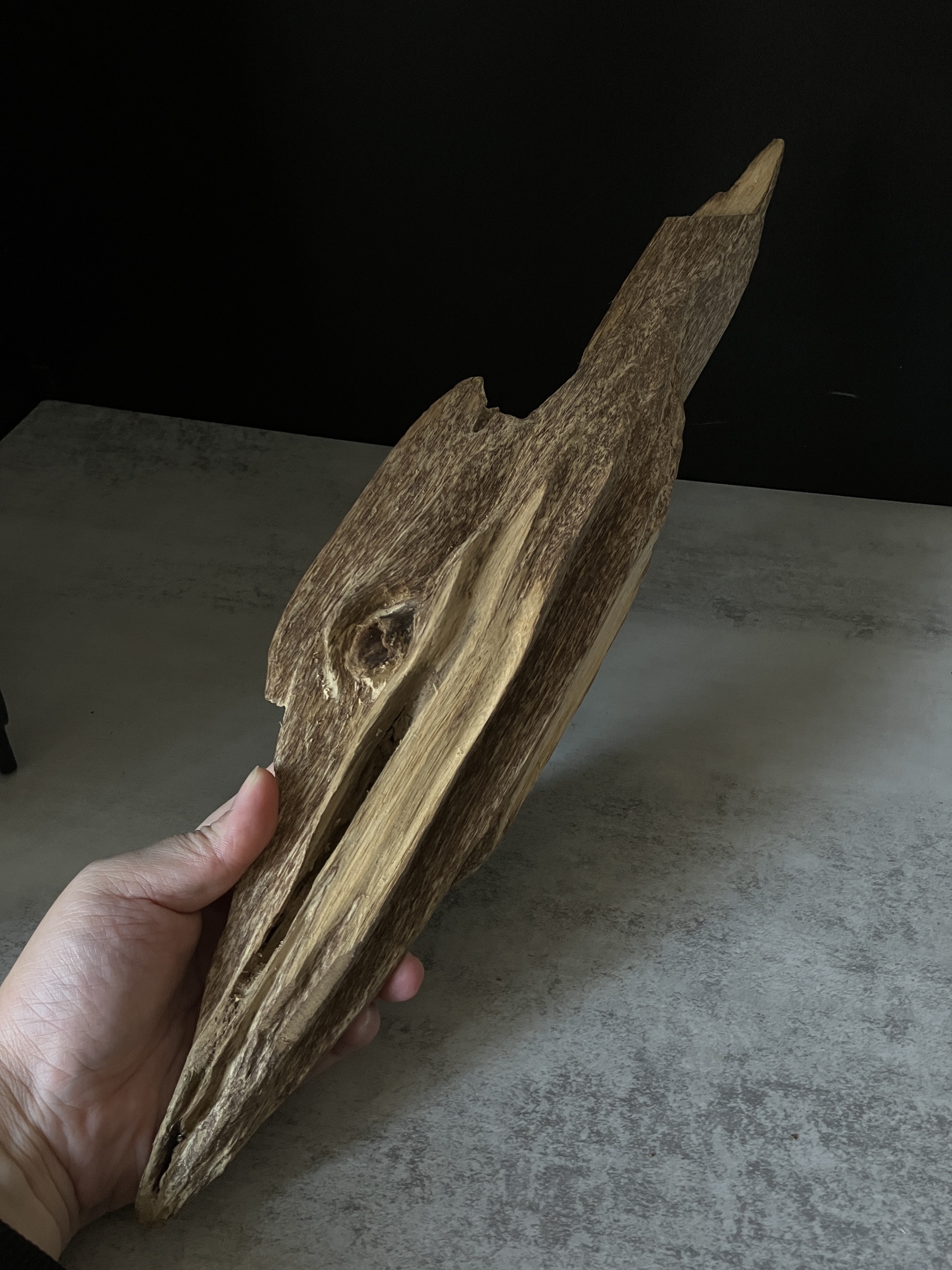 image_A52B409F-9070-4305-BD27-A6F72635C24F_1764057585