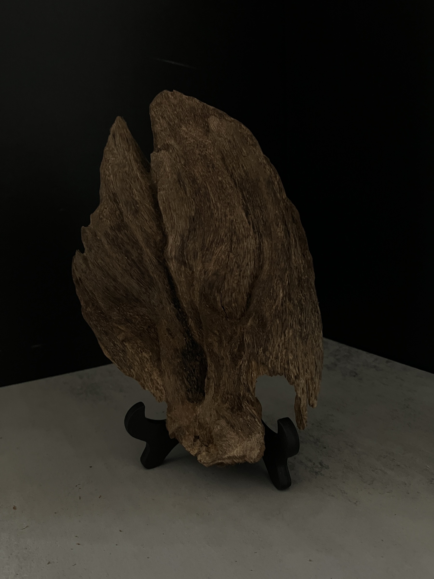 image_E7BD702E-D099-4768-83B6-C475F8619D93_1764057651