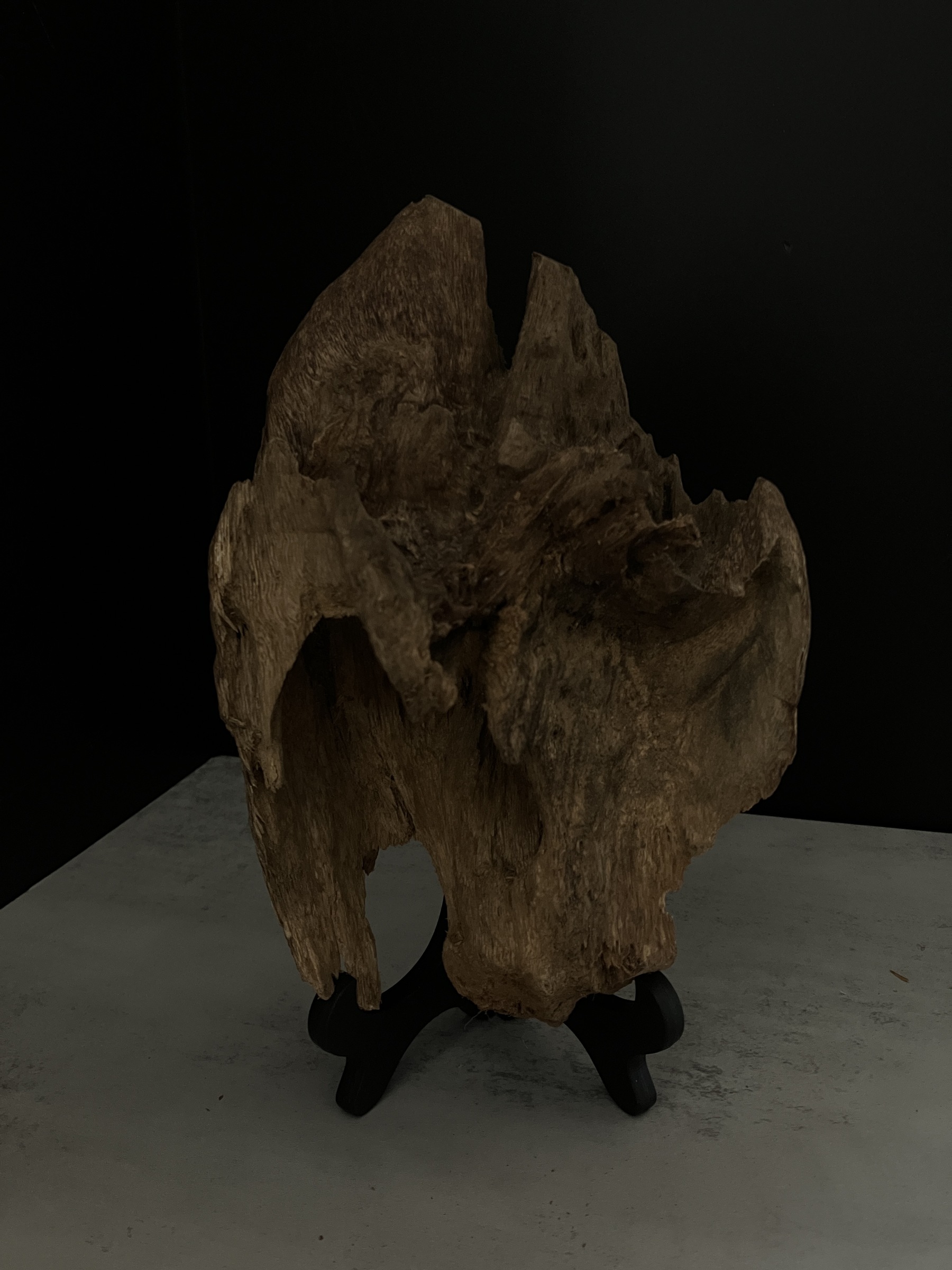 image_5D132643-7DDA-41F1-8E03-E4938F2CFC57_1764057651