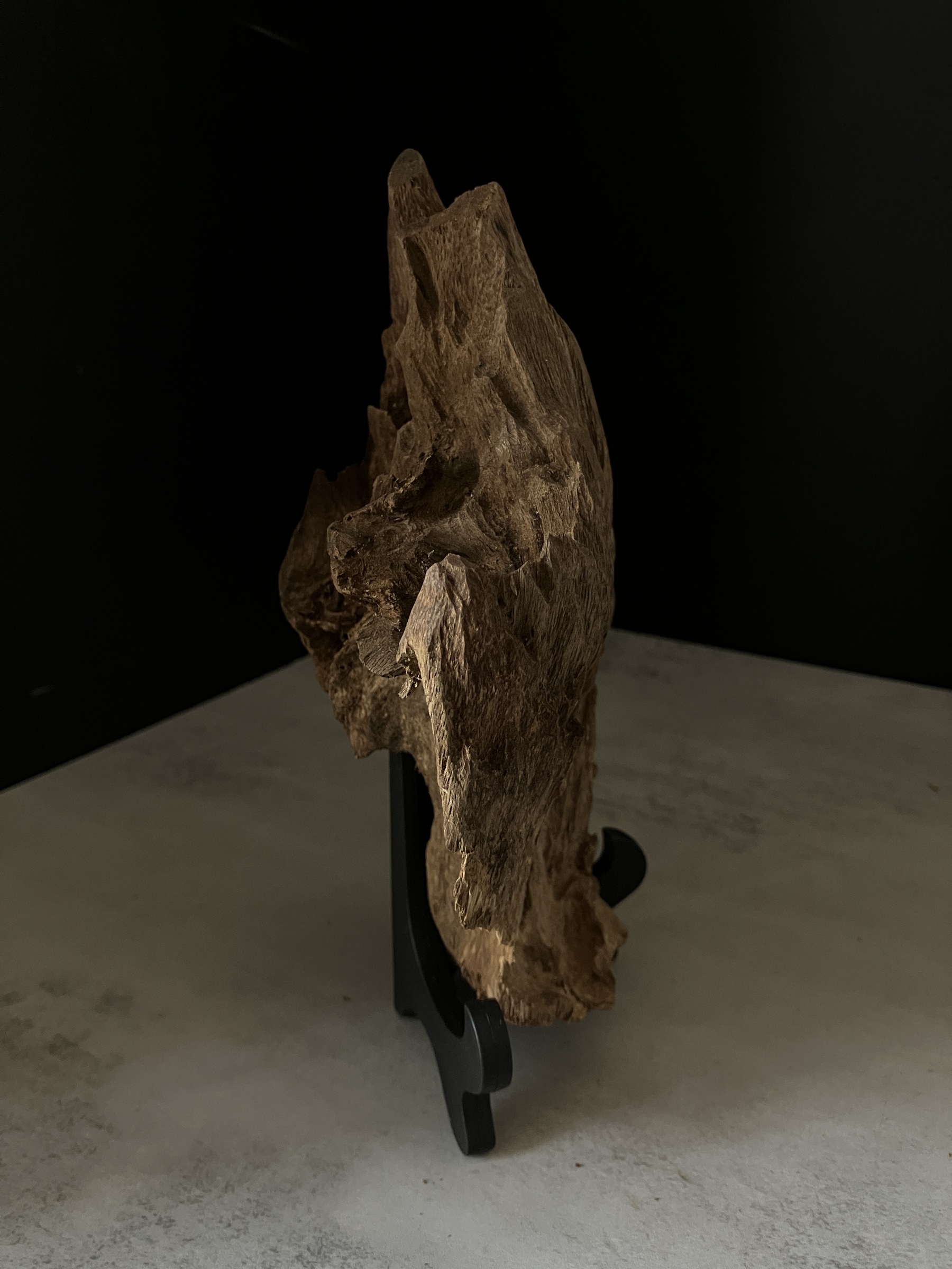 image_F1ECE7E7-61EC-4691-A94E-E5CB8DB82218_1764057651