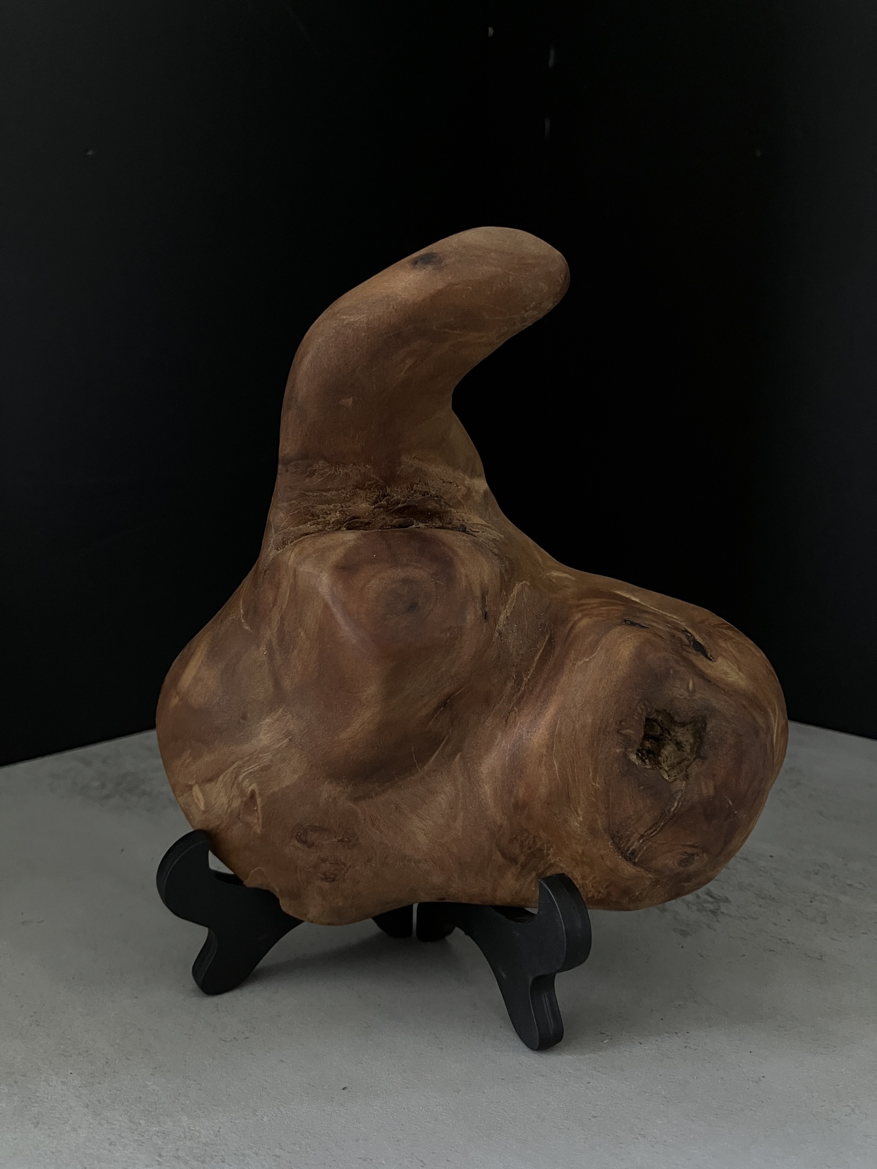 image_2D4E6FEA-126A-4807-95BF-632444EF5BD8_1764223676