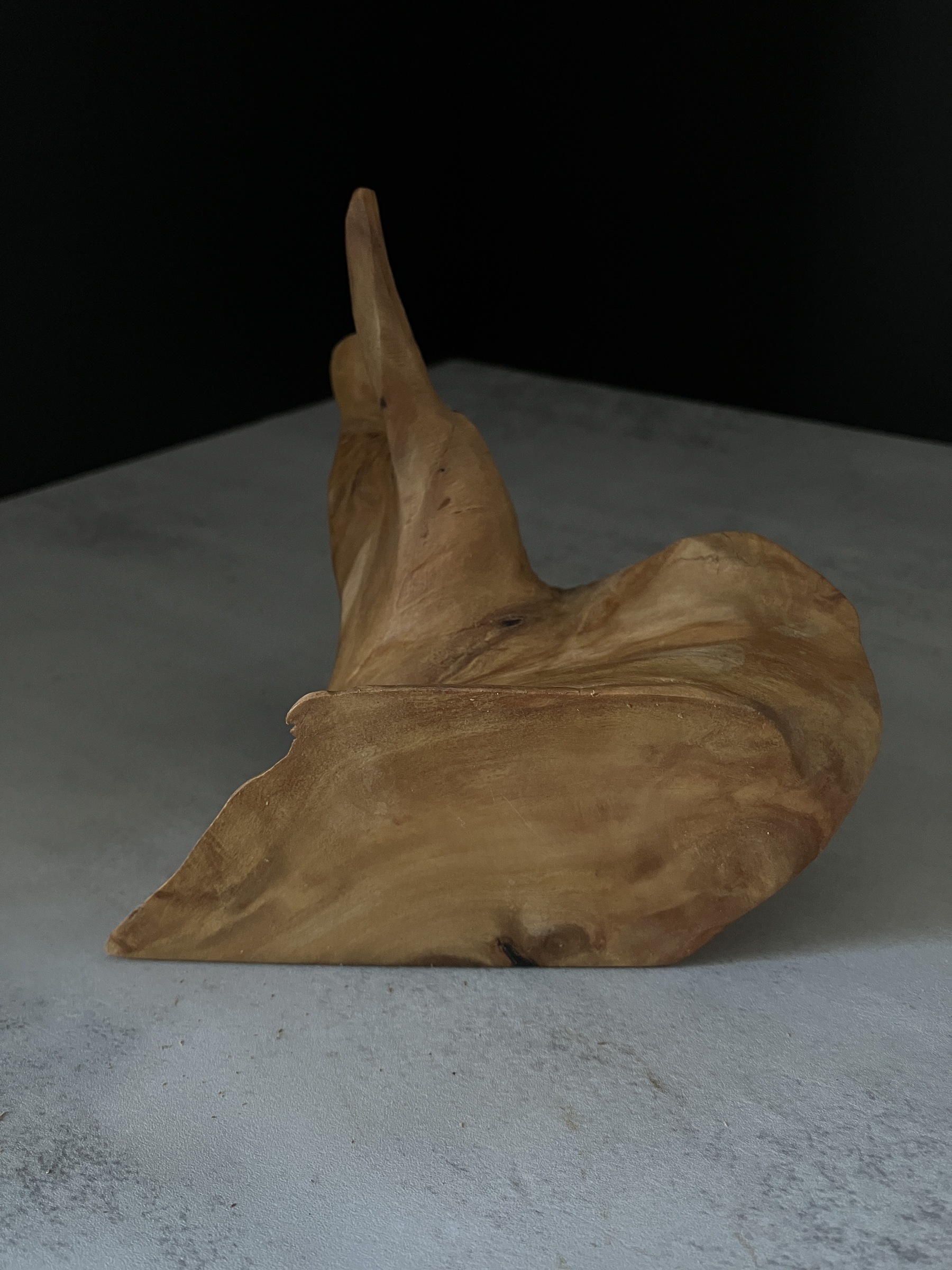 image_8E1A3850-C6C8-4F44-BD1E-CE85FBA2372E_1764223912