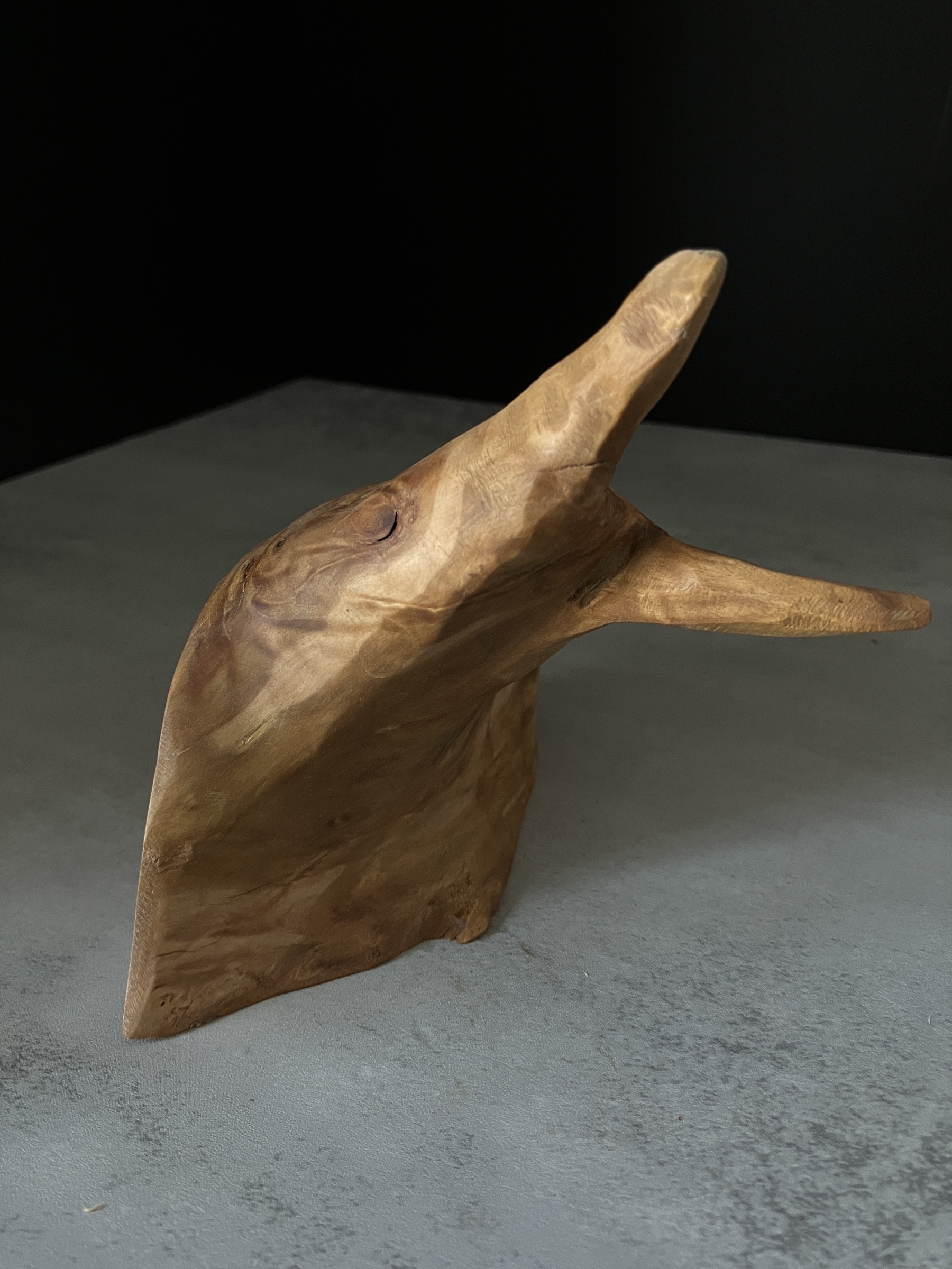 image_54737768-D300-4227-AB95-BD7C21E2F3AF_1764223912