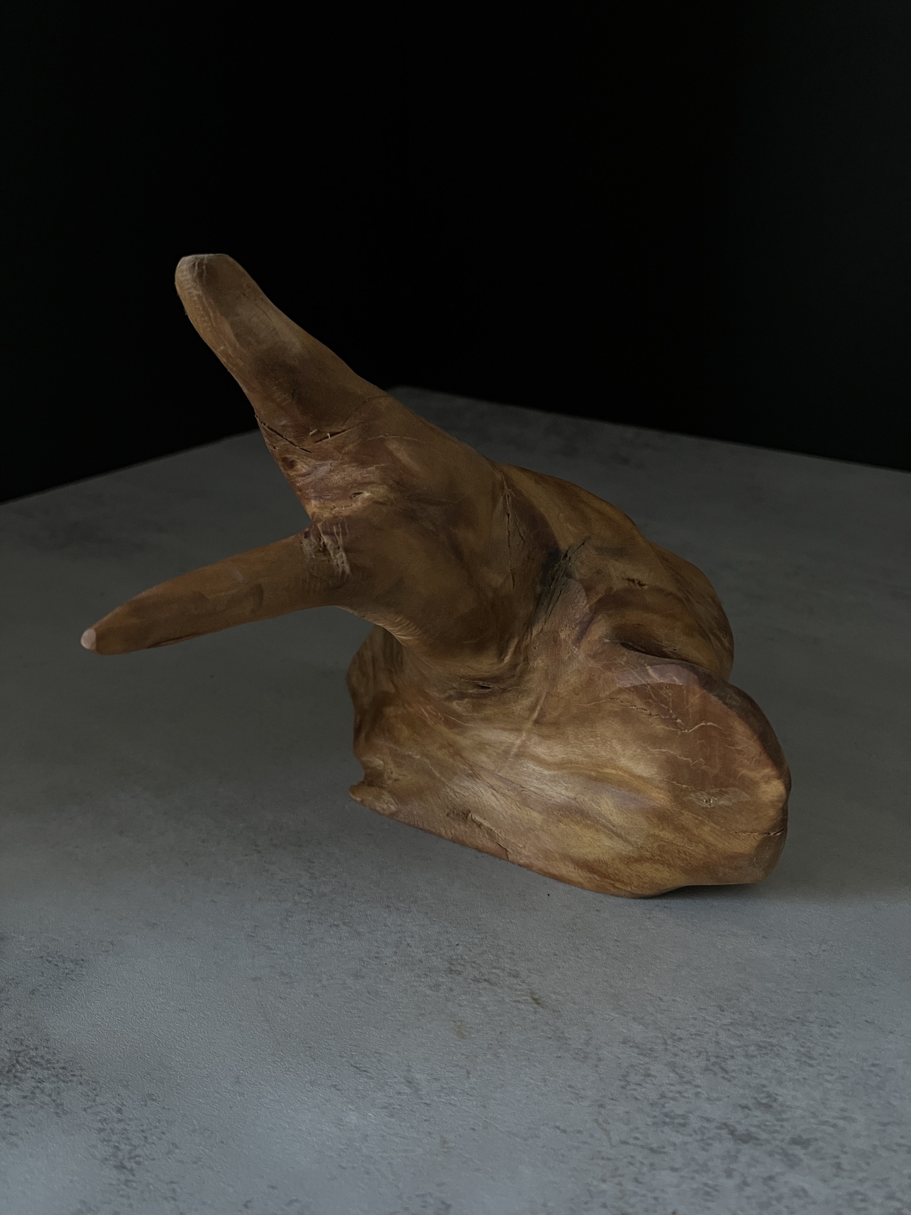 image_8A641CCD-6F86-4876-88D8-7CA5B2947AE6_1764223913