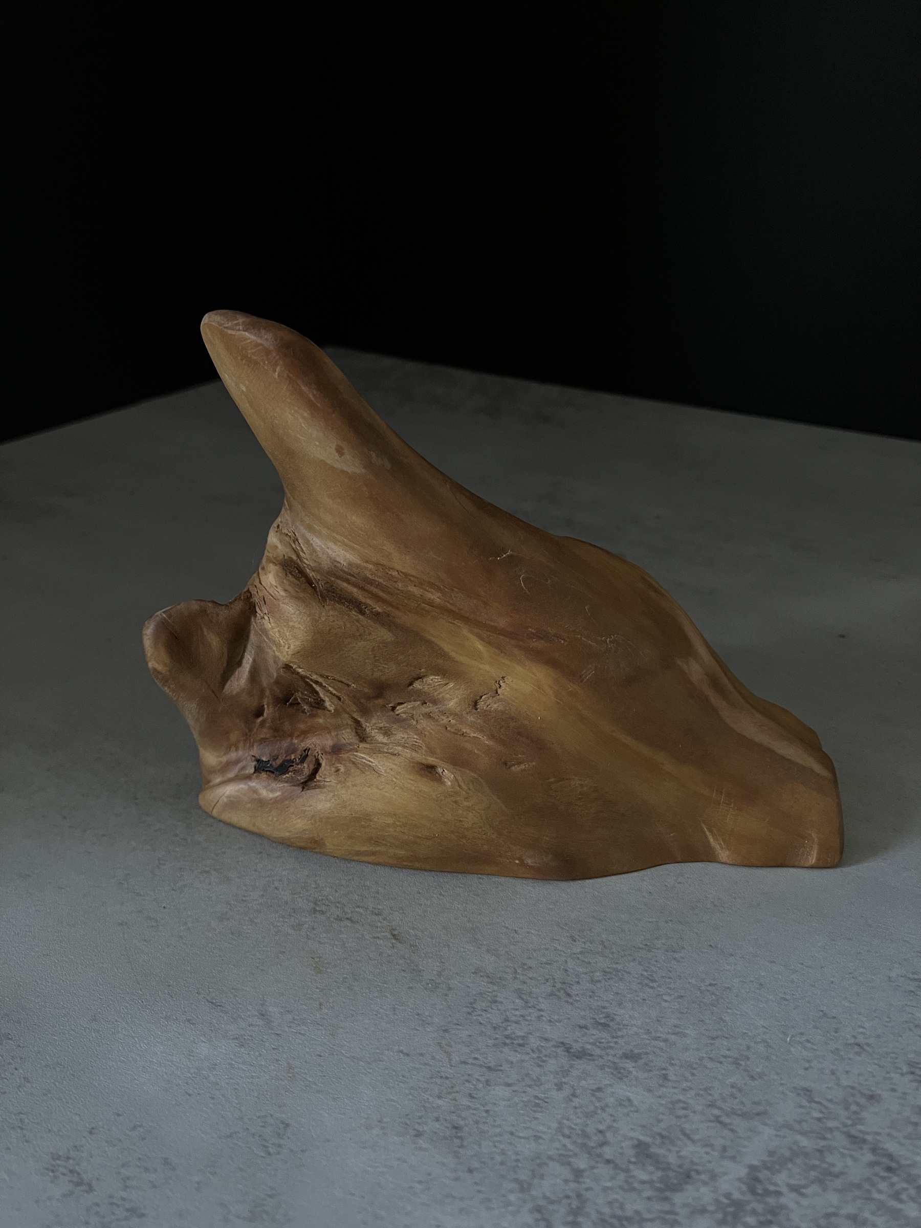 image_064A3D85-9D48-4AFA-B2FC-3B8F3F7947EE_1764224120