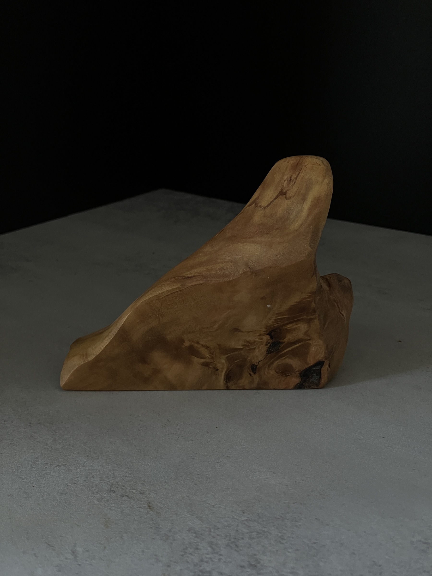 image_80F275C2-1F3B-46BF-87CB-12B479DA9169_1764224120