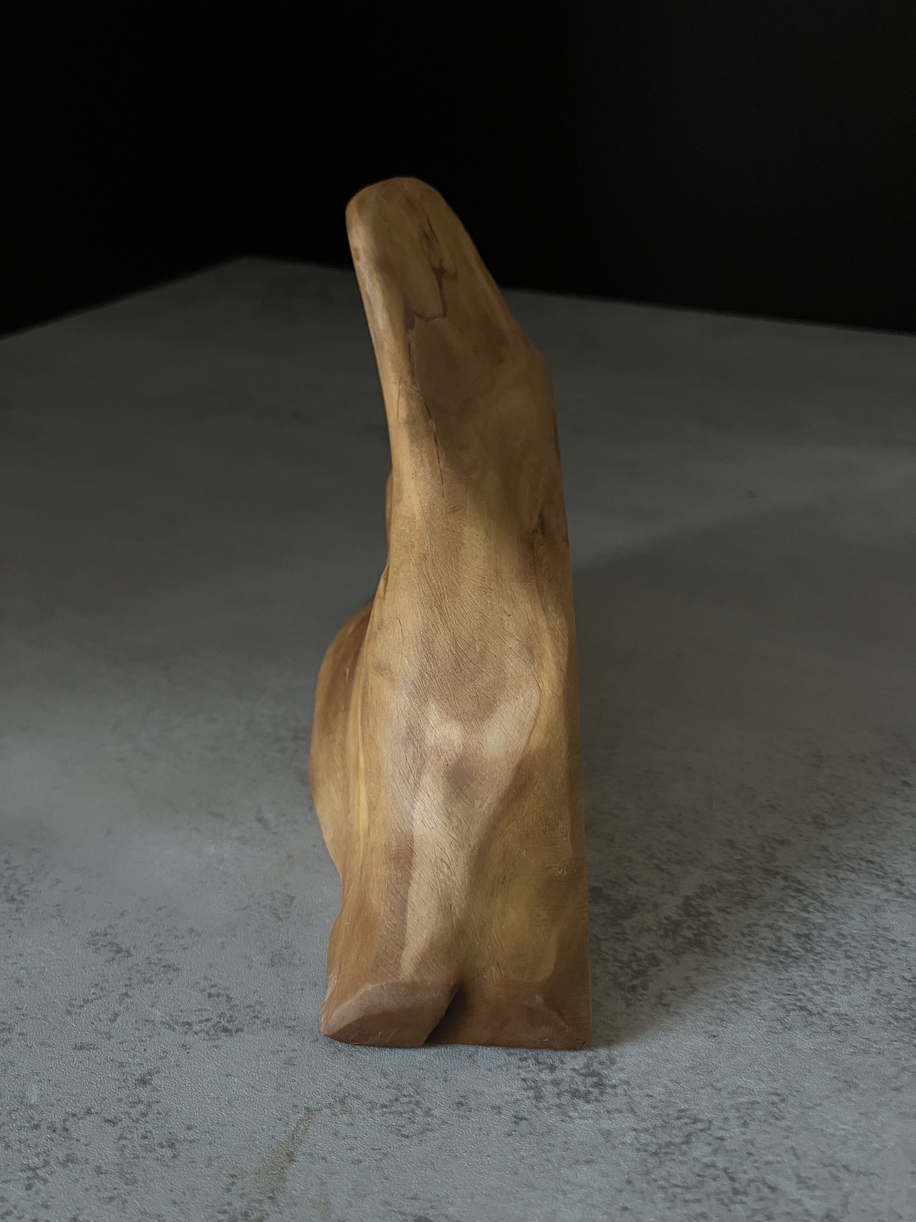 image_E8A9547D-F081-443A-8E5F-DAACAE46B6BD_1764224120