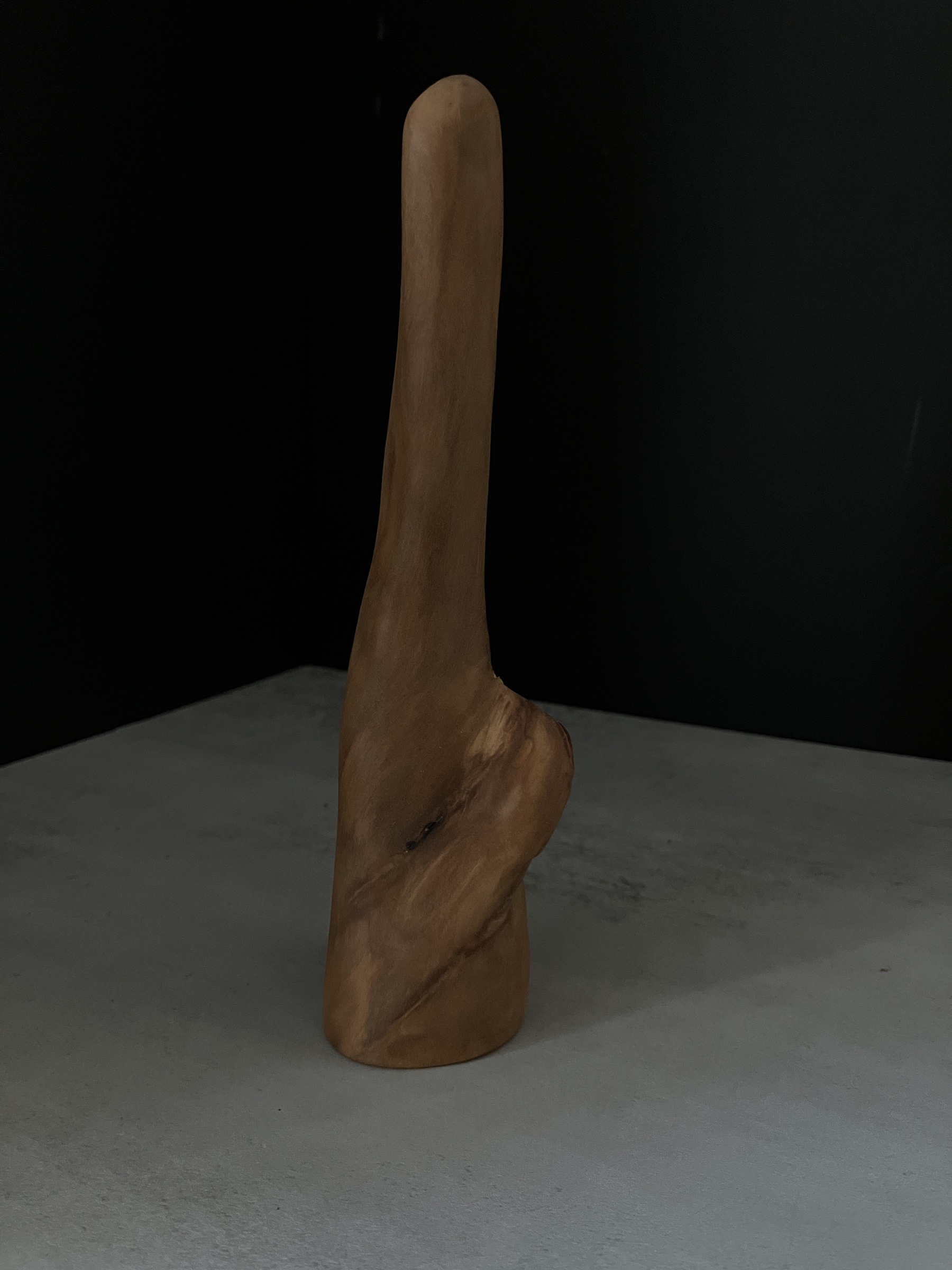 image_09651193-339E-44D1-8D94-90D64284BB66_1764224198