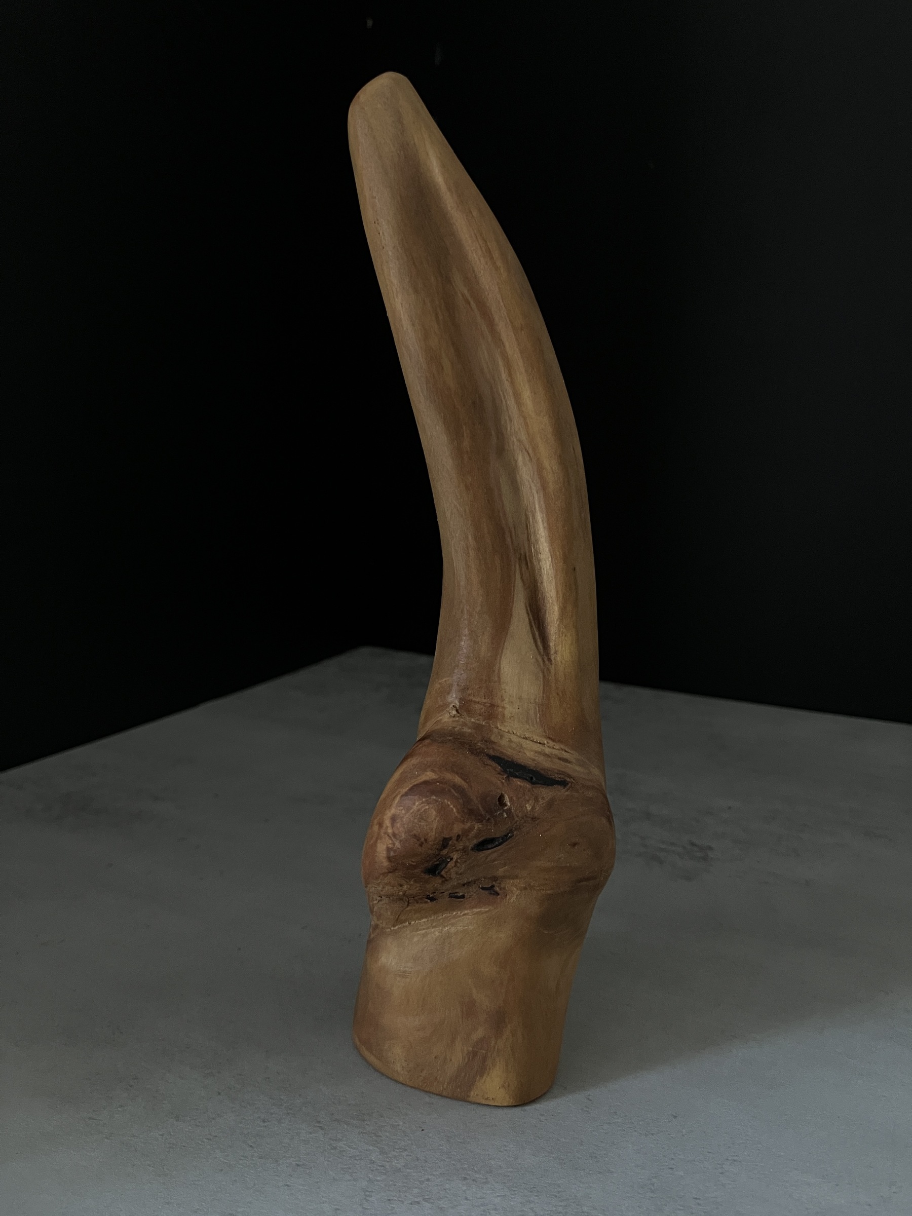 image_42A3A88B-B8C4-4AEB-9B18-BEEF184D8EFC_1764224198