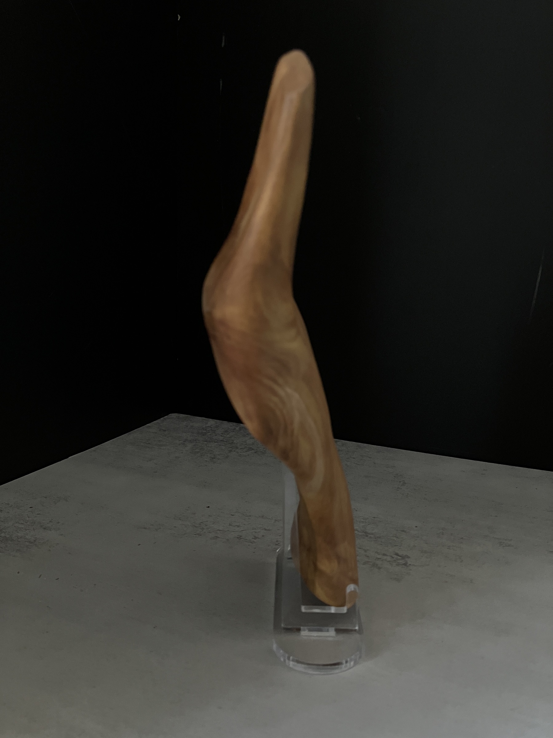 image_691841FB-0E97-455C-9531-1C2DAD2ABCDB_1764224401