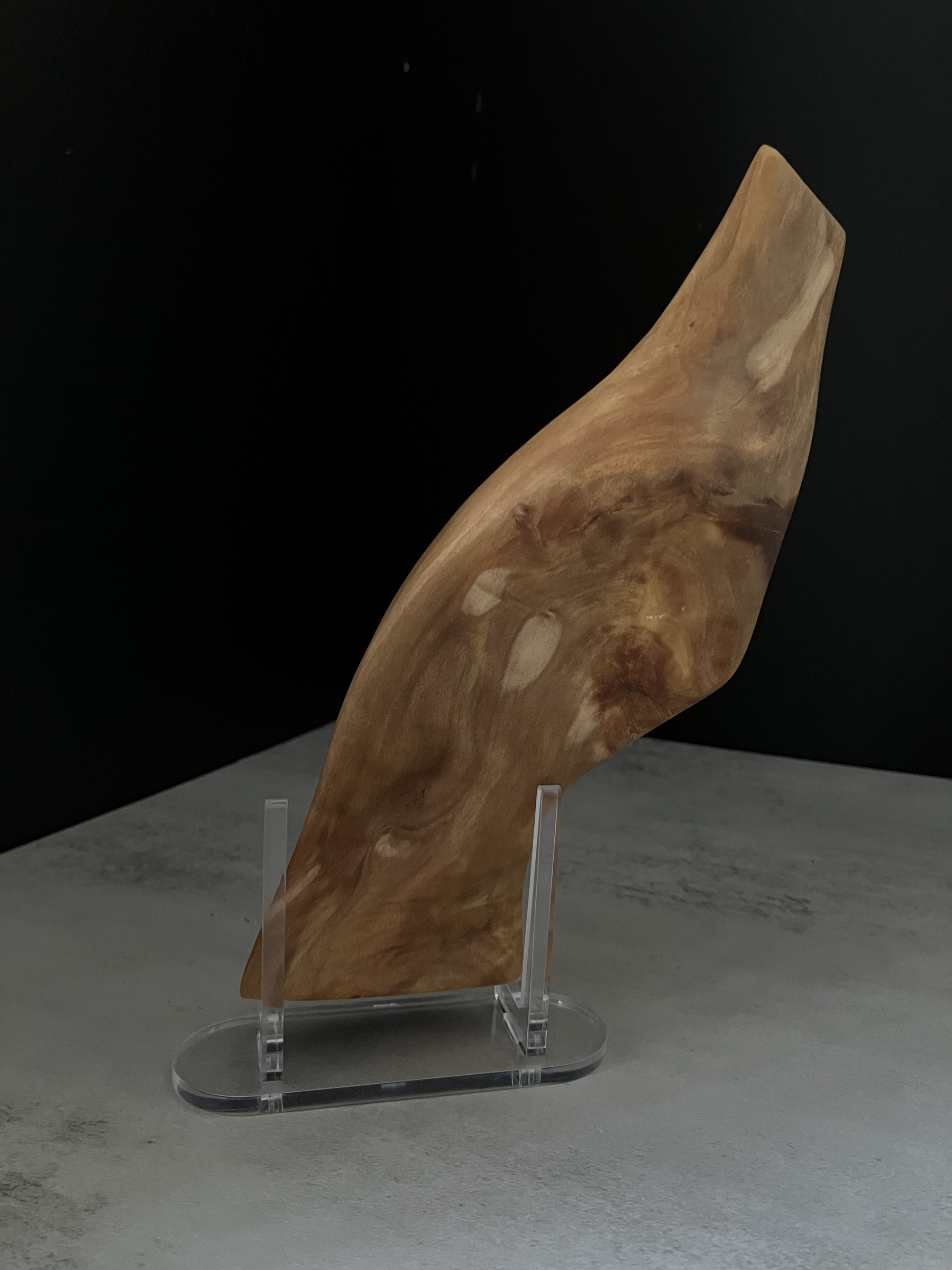 image_20B887B6-420E-4BB0-B560-5556B945B8D5_1764224401