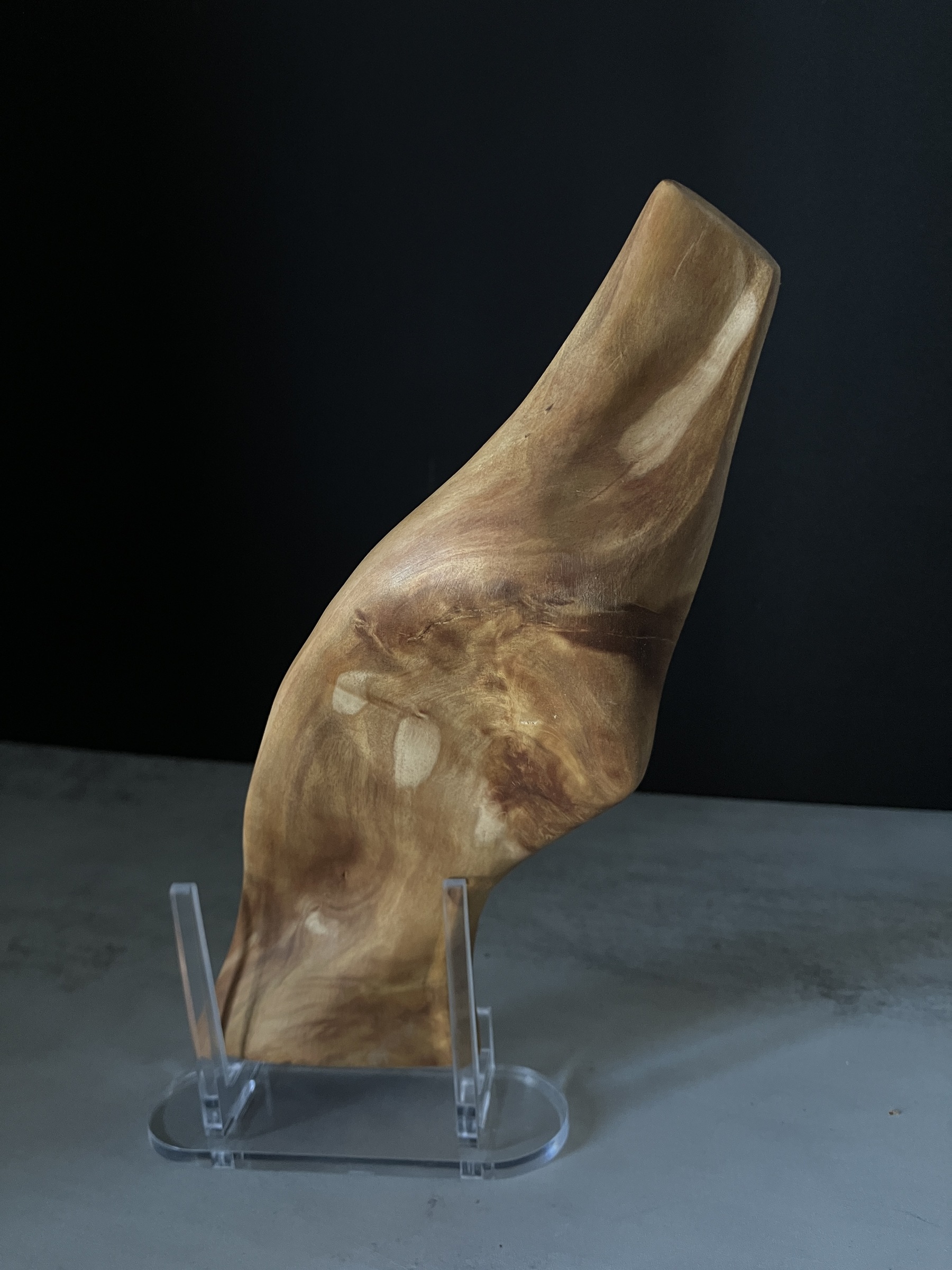 image_C2EE6AE4-2A6A-4206-9C88-1A39AE0348E1_1764224401