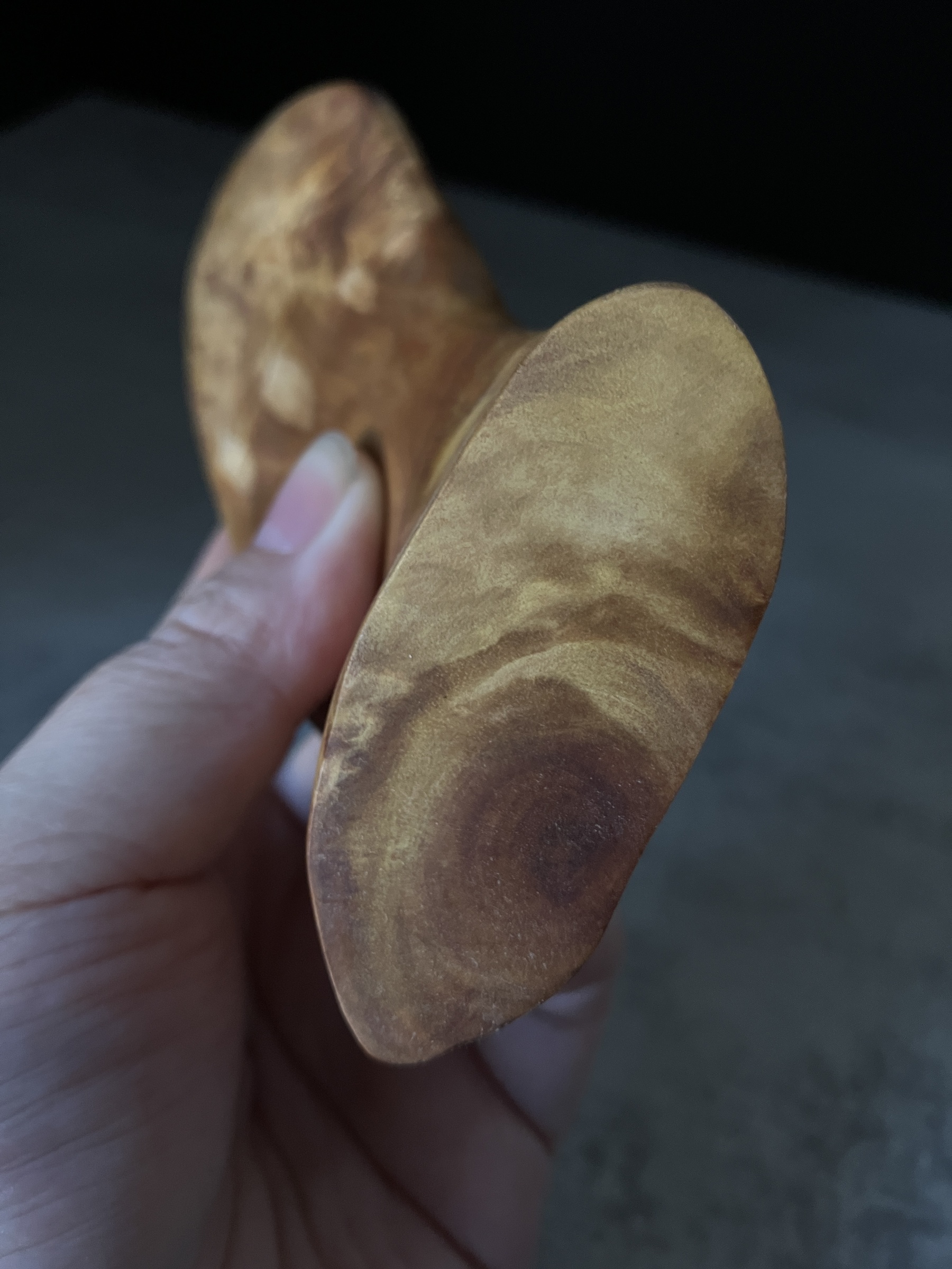 image_7818ACDA-97E2-42D6-9509-C5AA5348E01B_1764224401