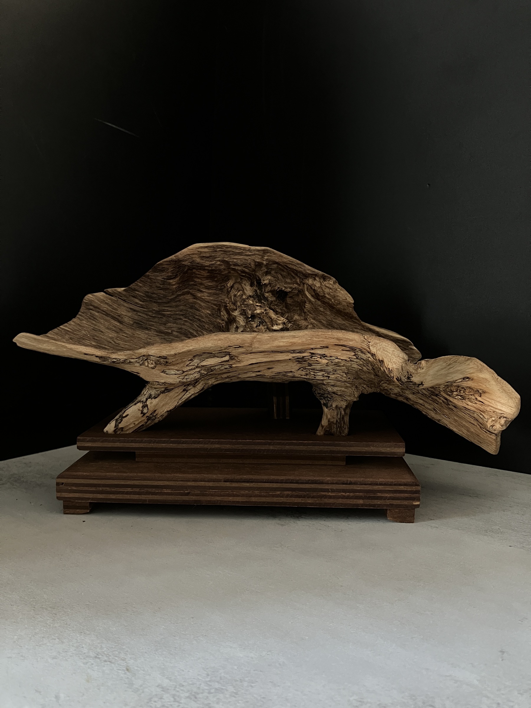 image_03D664AE-70BC-4650-A956-21517D108A76_1764577350