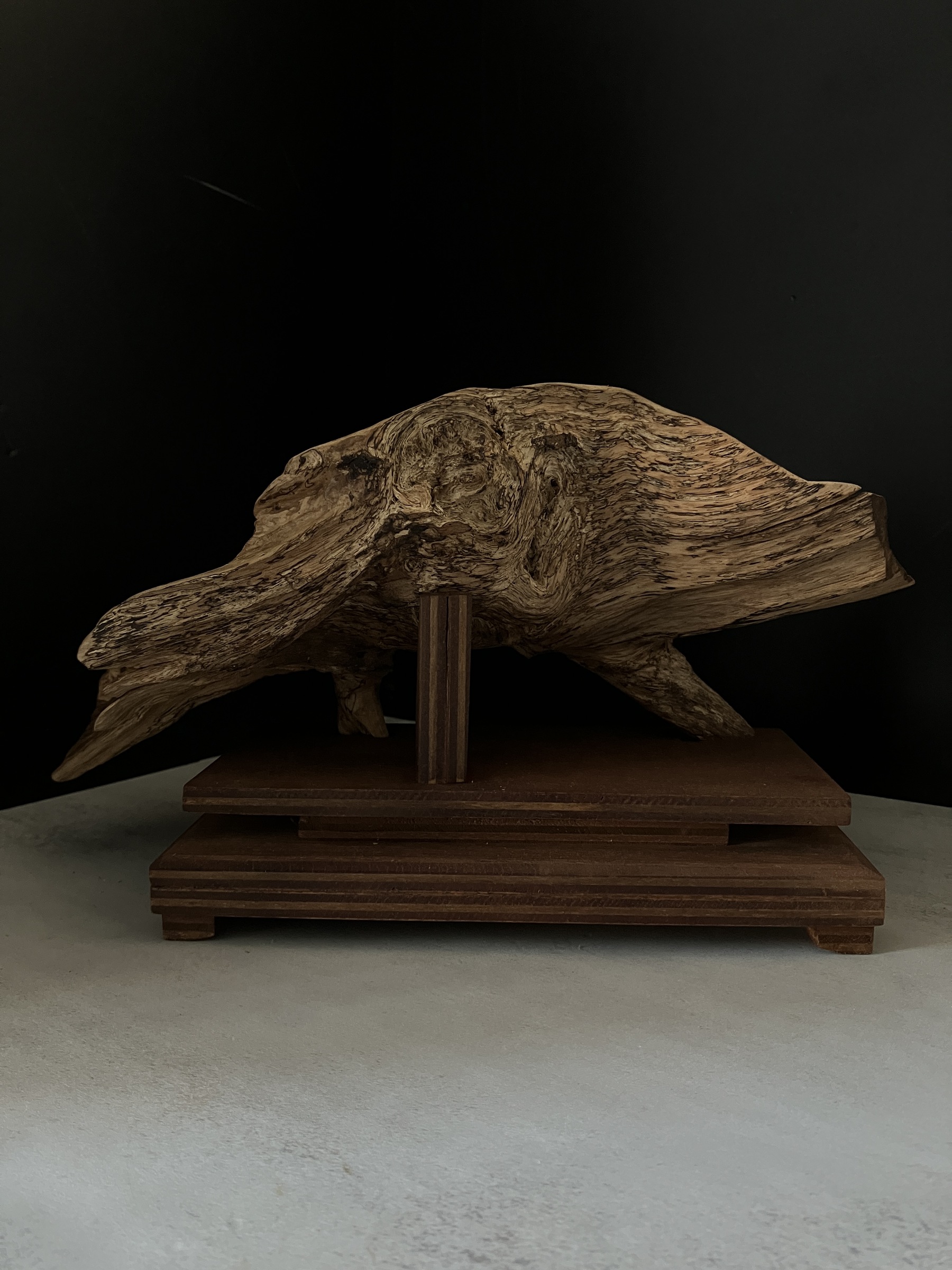 image_1A6CBFFC-05A1-4E48-9095-8BFBA82079CD_1764577350