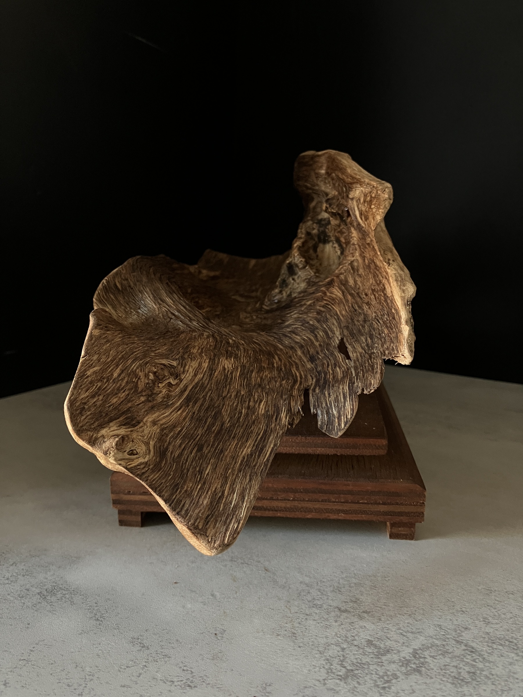 image_9FFCF34E-A226-49AF-9E45-EB9046892136_1764577350