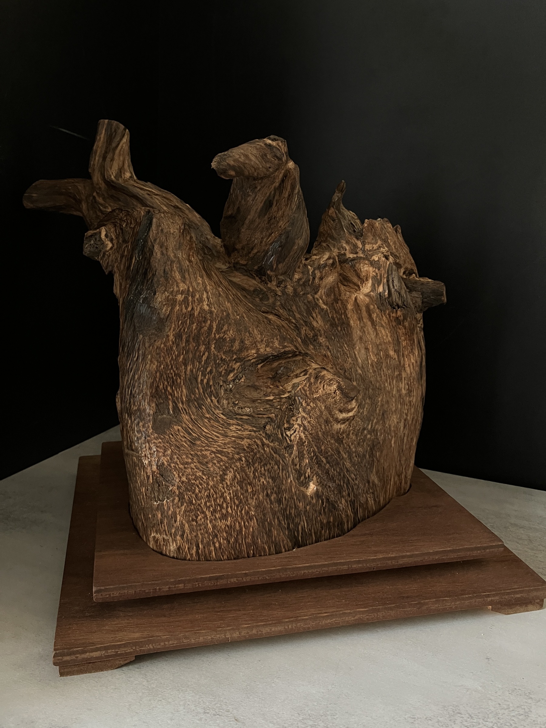 image_FB97258D-2BB3-448E-90C5-836C1C4FFD41_1764577550