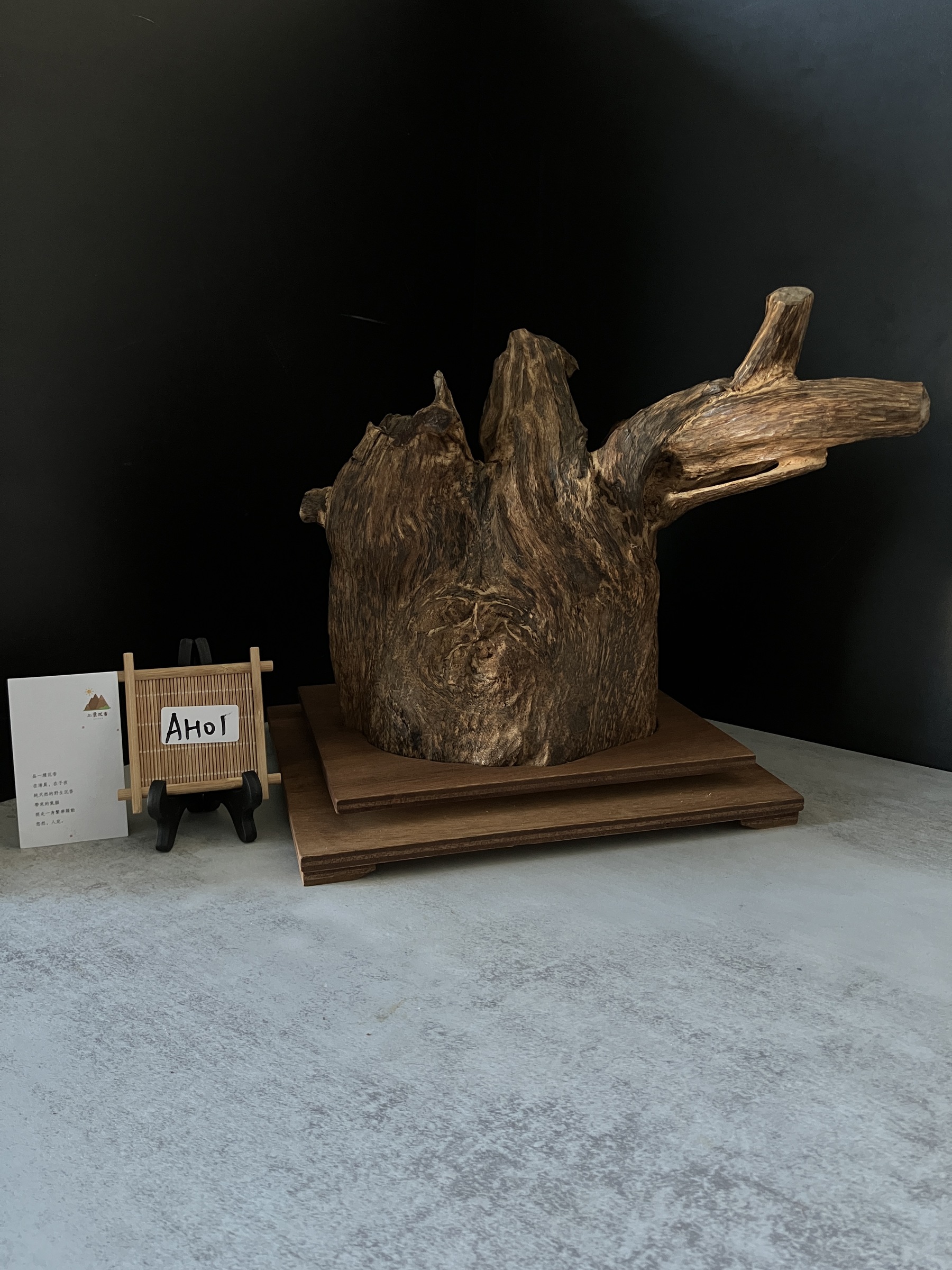 image_13D6250A-F4AF-4A6D-84F6-5395AC193399_1764577550