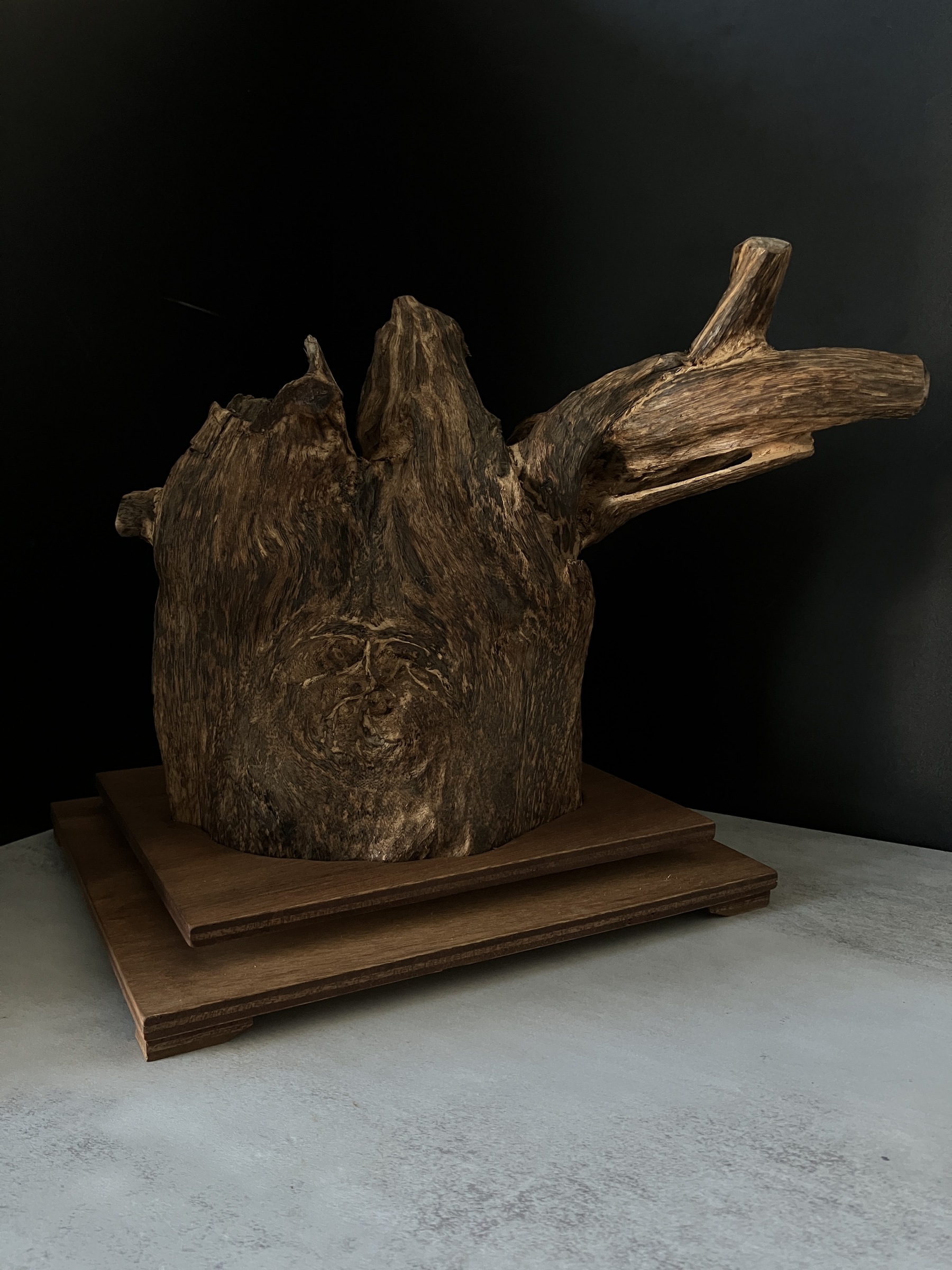 image_24FC6ED6-373A-419D-8A13-15774137EAD8_1764577550