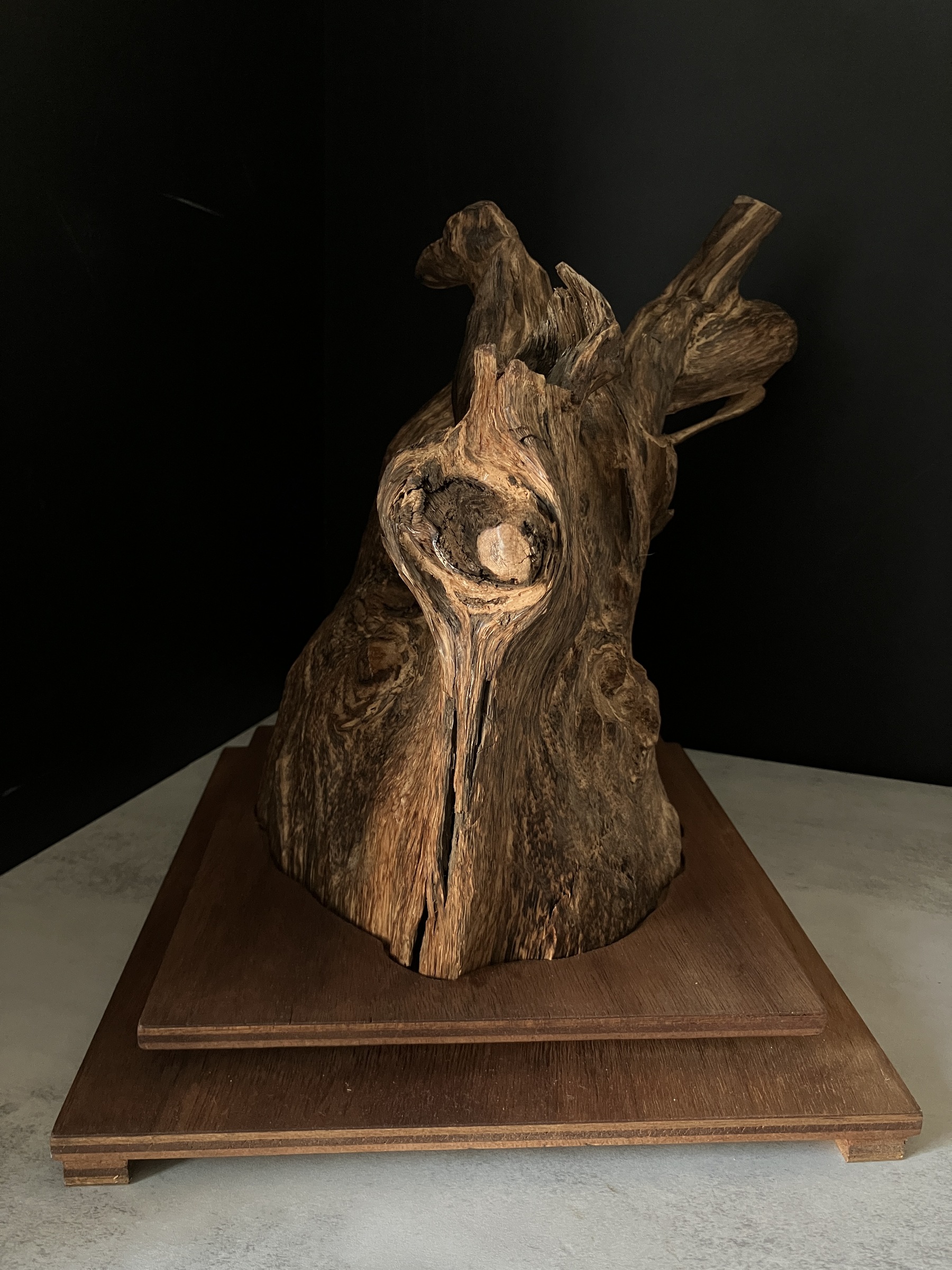 image_49C3427C-4C46-4D42-A129-16E02A7DD4F2_1764577550