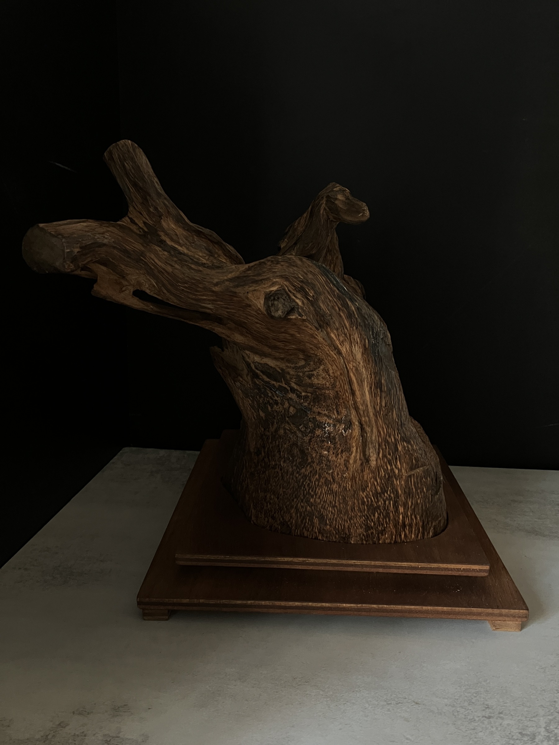 image_C7B113F1-CBF4-4403-AE49-9B677E757A22_1764577550