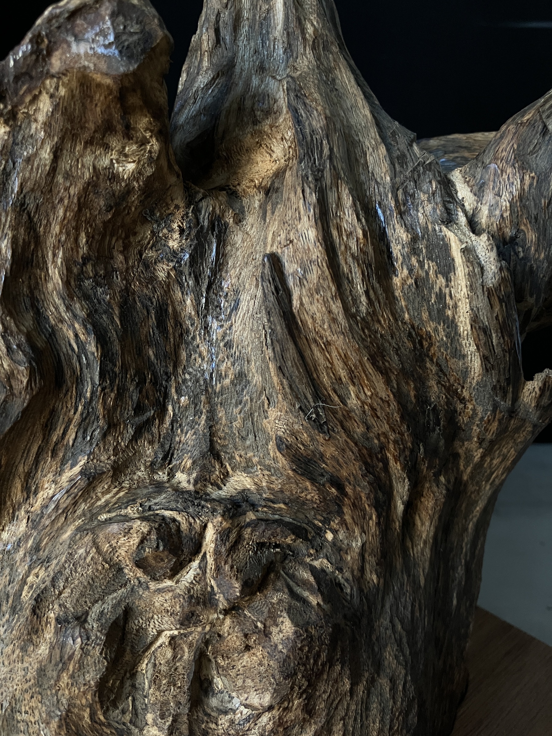 image_64682EEE-695F-42E7-8245-0340E8B4F9B6_1764577550