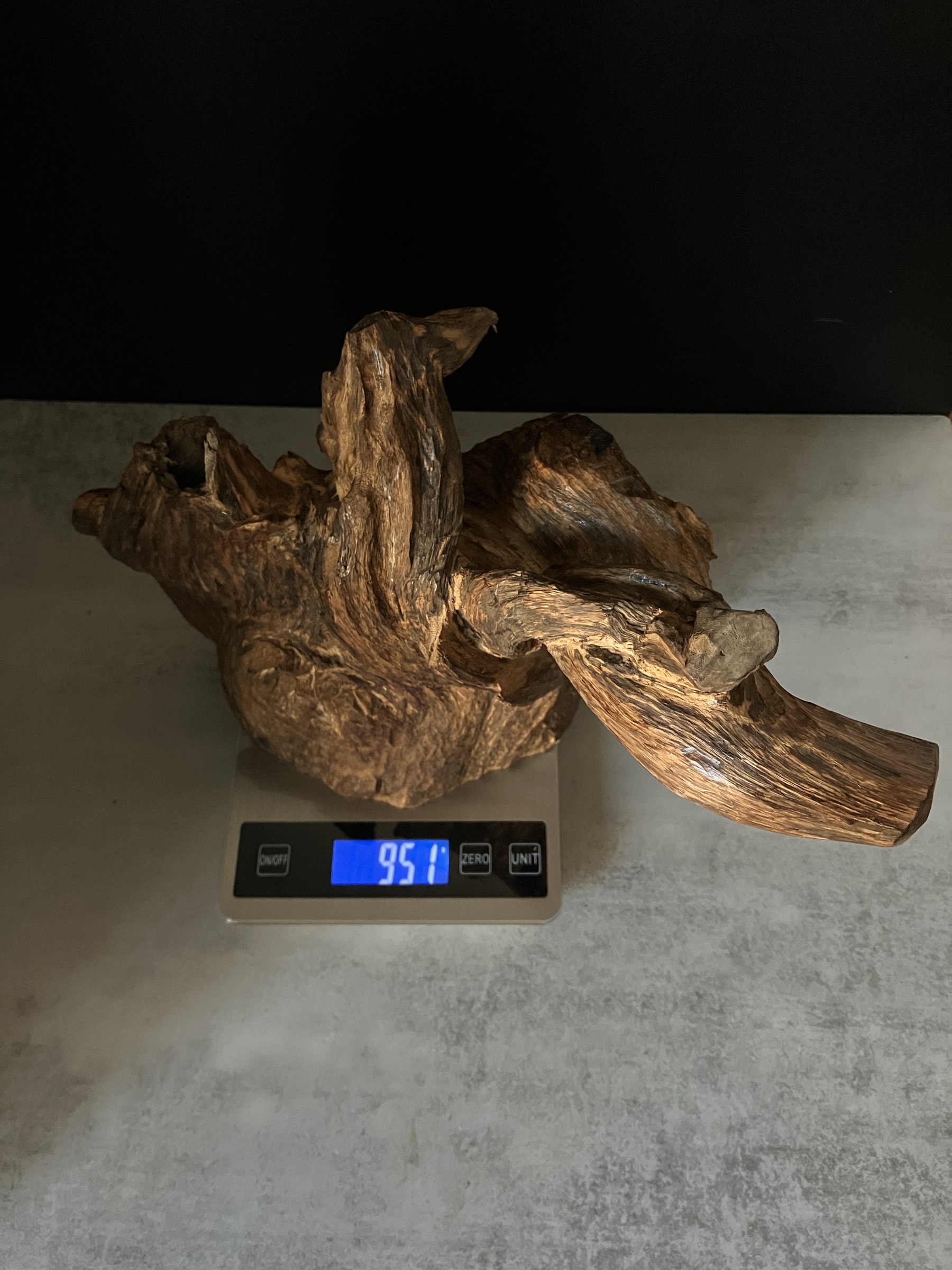 image_78955915-B176-4FFA-BAAD-CCB85368DFC1_1764577550