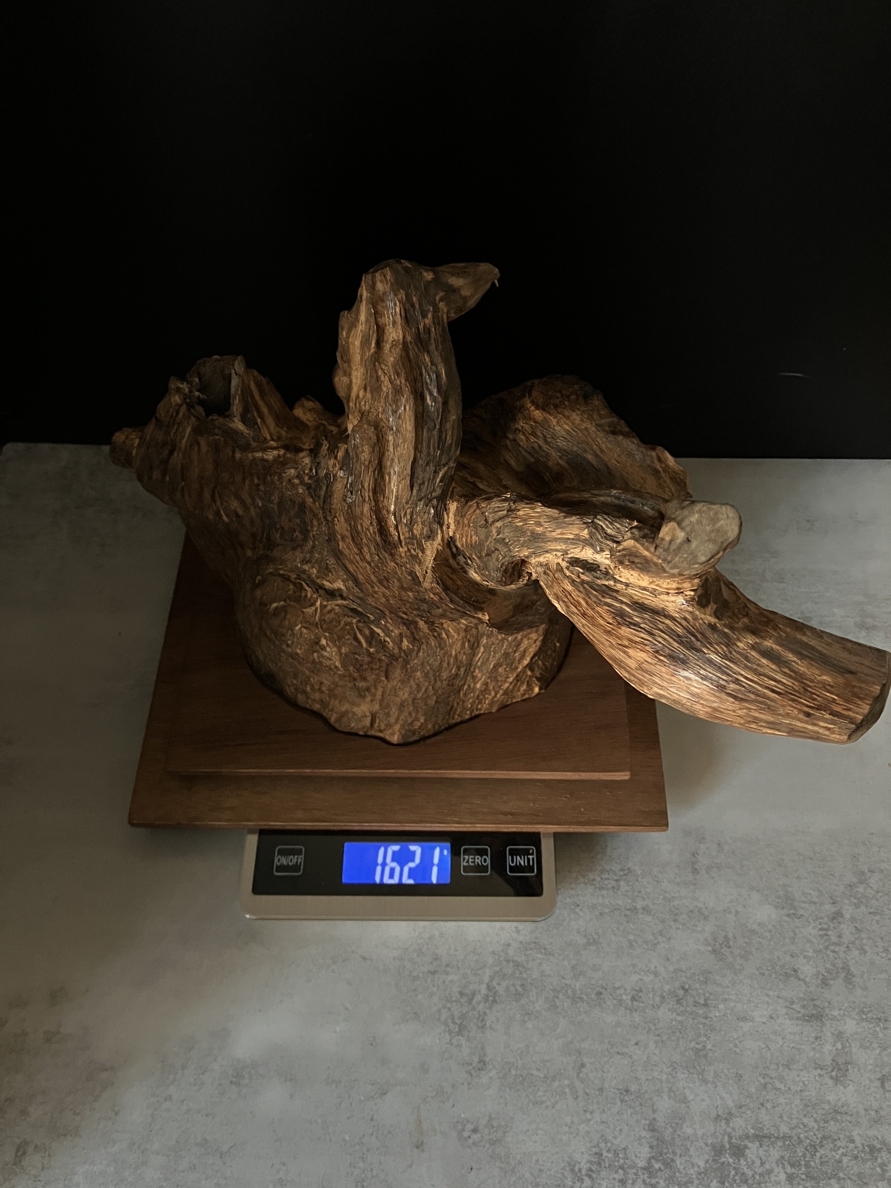 image_8F3CD36E-FC5E-48B8-A722-7AF4DD8080EE_1764577550