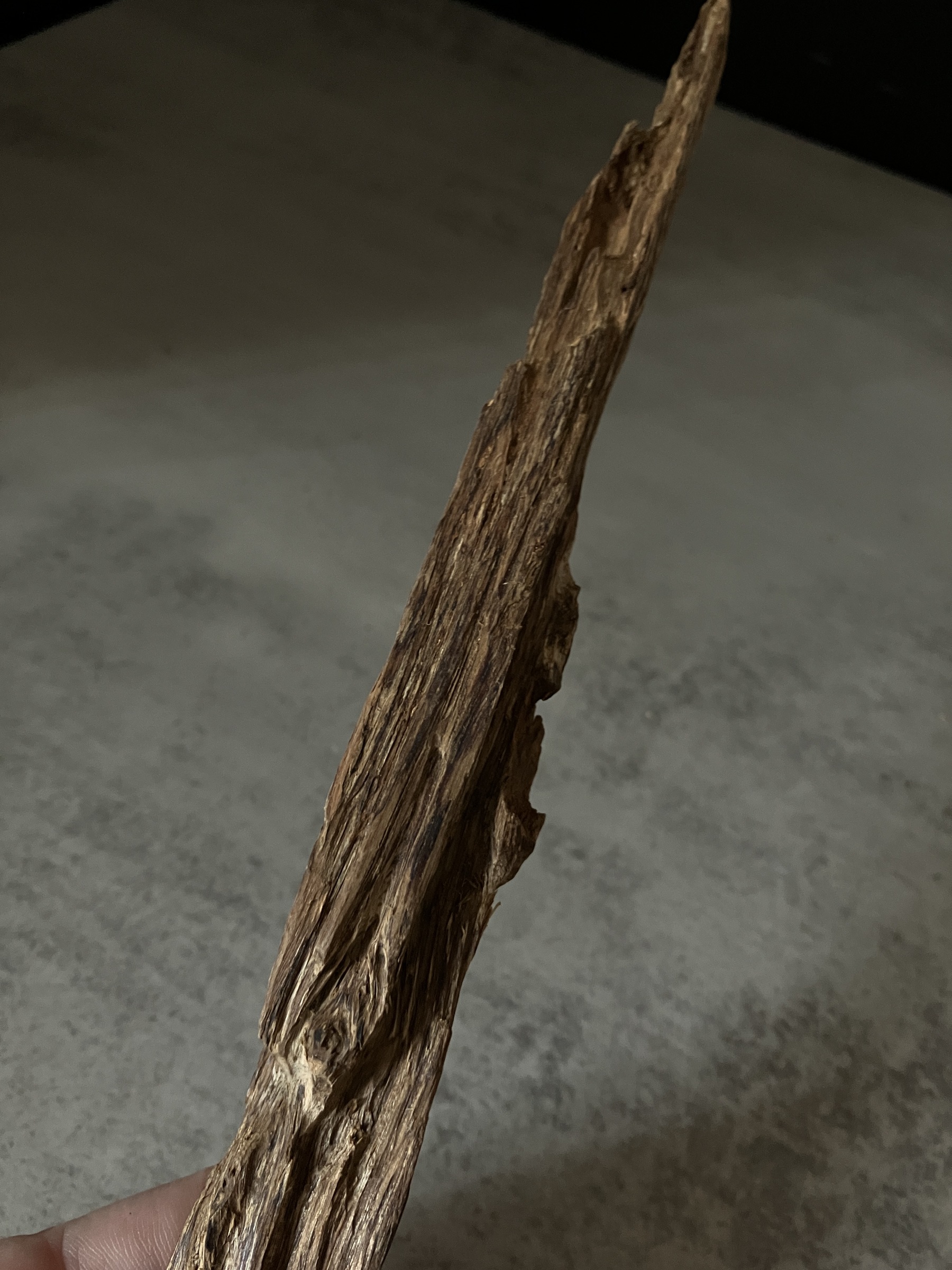 image_F75864A2-F7AF-4FD4-80C8-1ACD3C9C83DC_1764657123