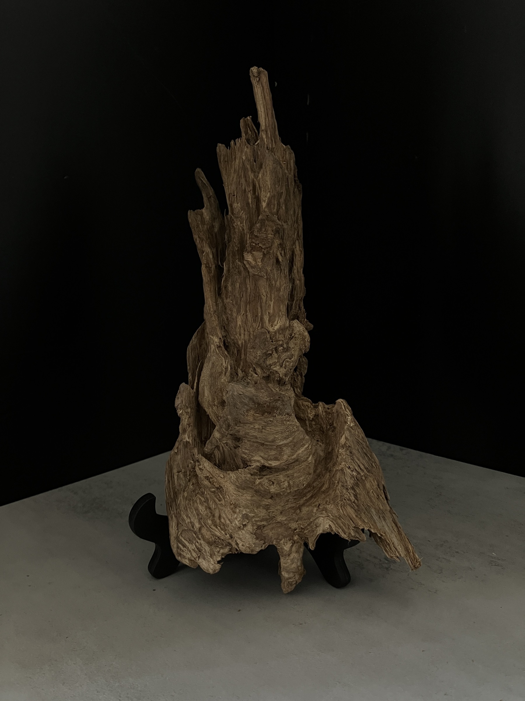 image_0286DB6E-31ED-4C6D-82A0-D14ED39A34C2_1764748146