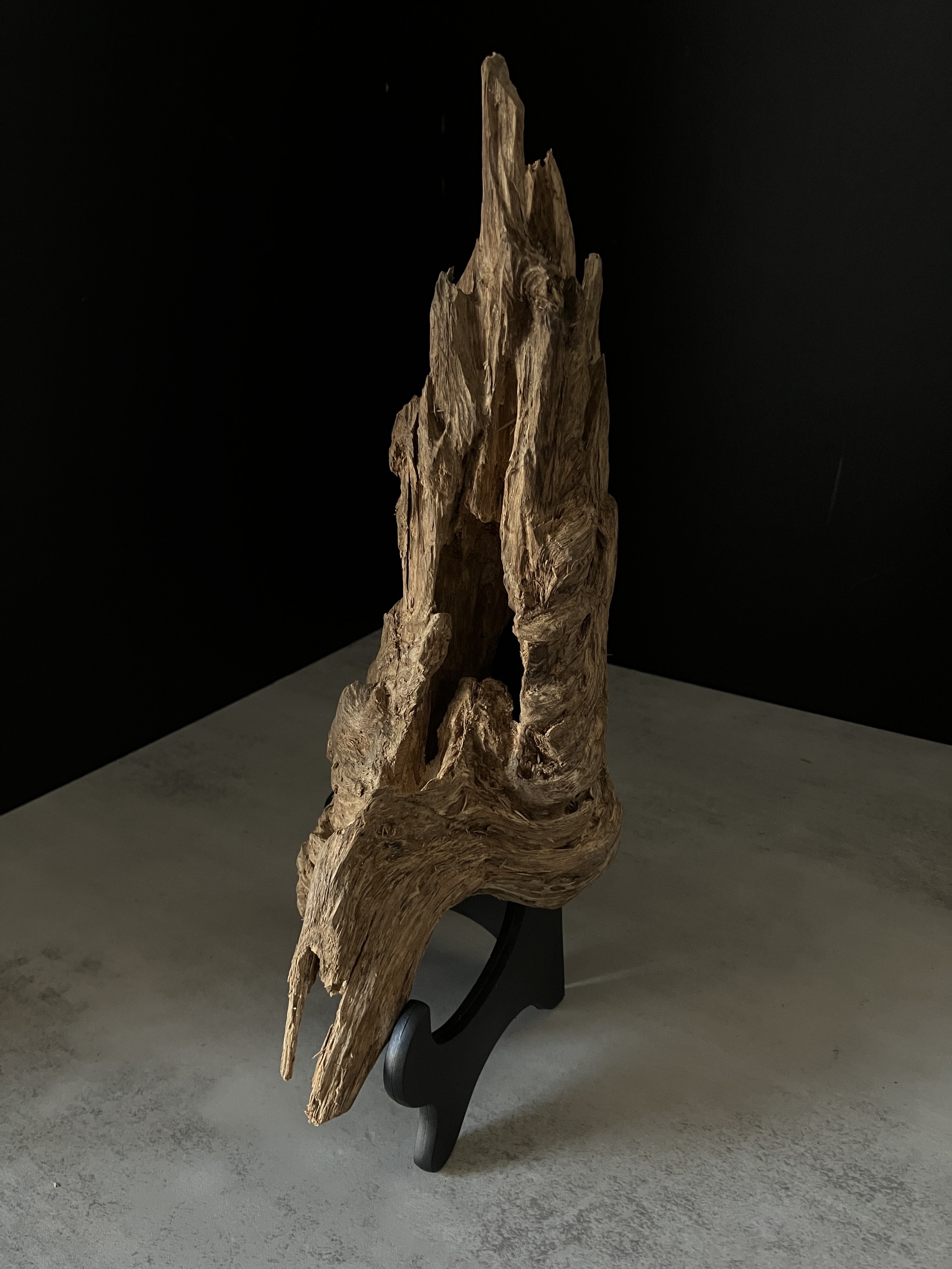 image_BDAF8425-04A4-415D-8093-63DCC597F0CF_1764748146