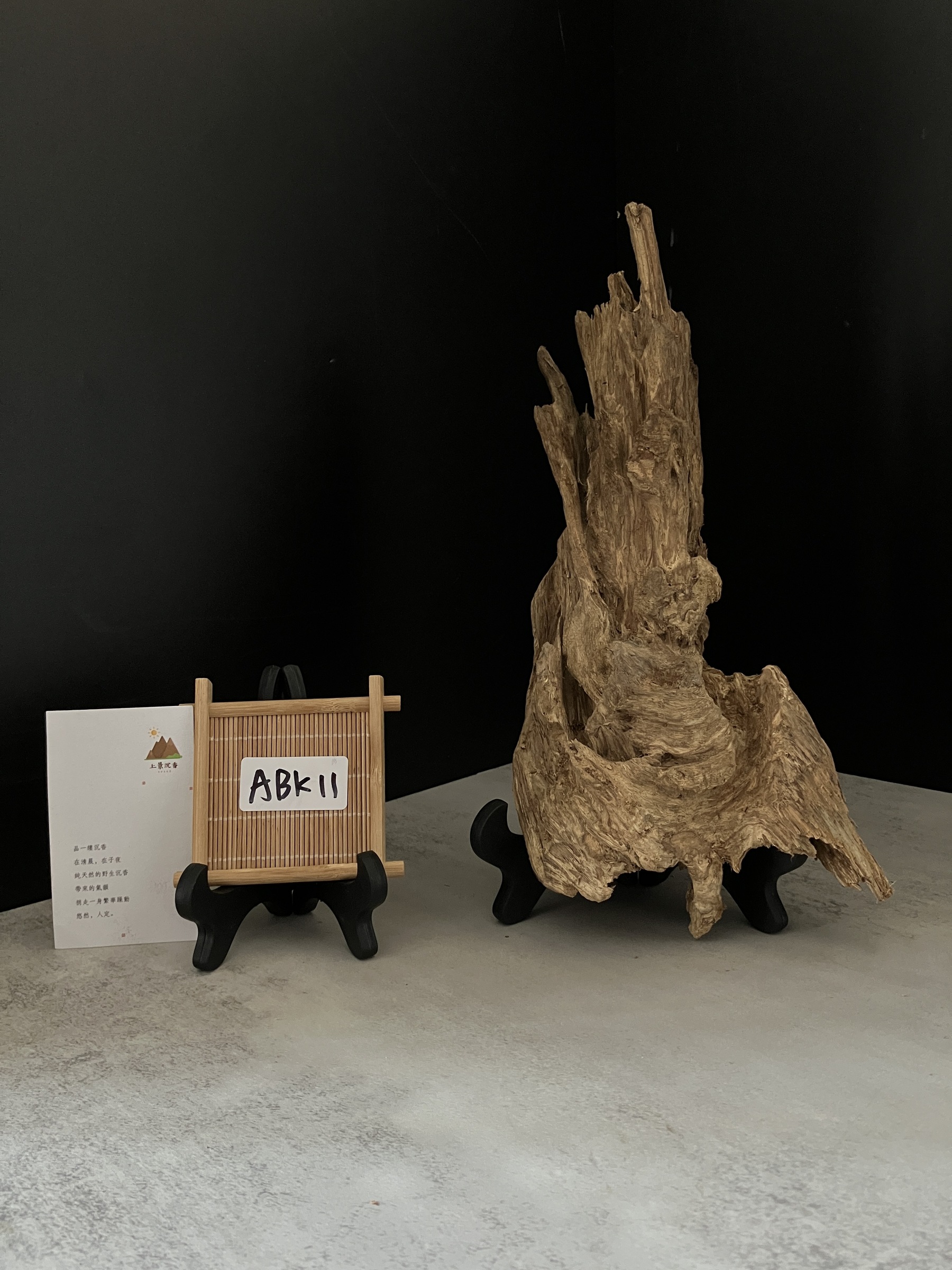 image_430558A8-029C-4AE1-AD90-81B60A4DD9CB_1764748146