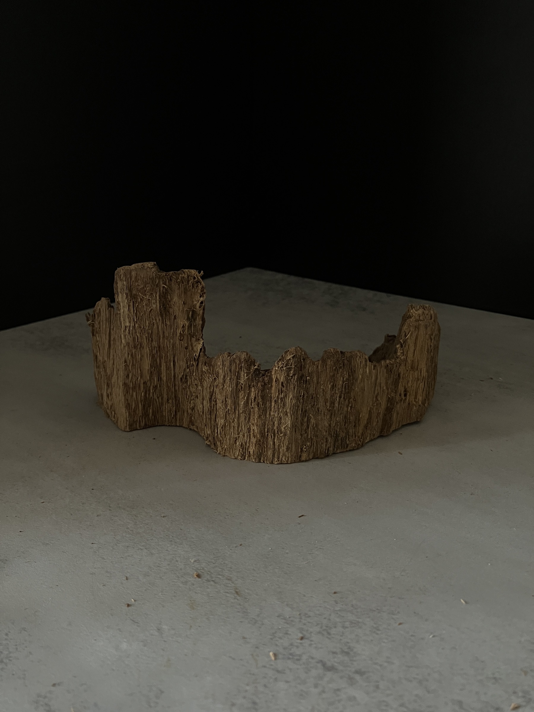 image_9CDB497A-D9F7-45A9-9444-ADFC04042C5D_1764748227