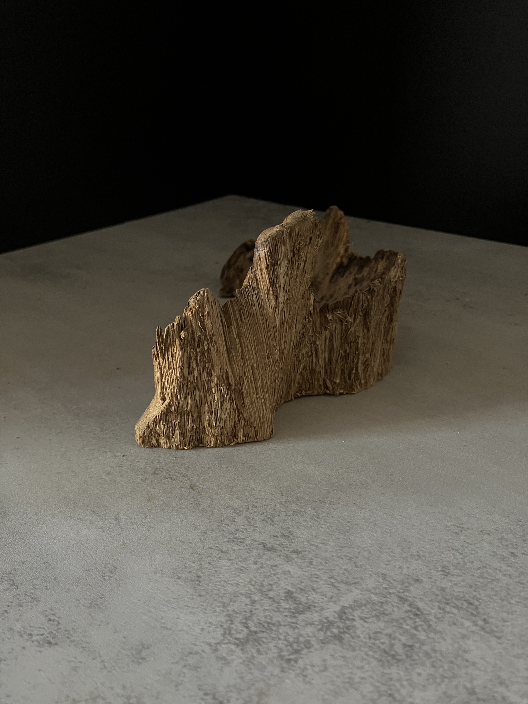 image_149110AE-A0EA-4C3A-B6C9-02266B8A3047_1764748227