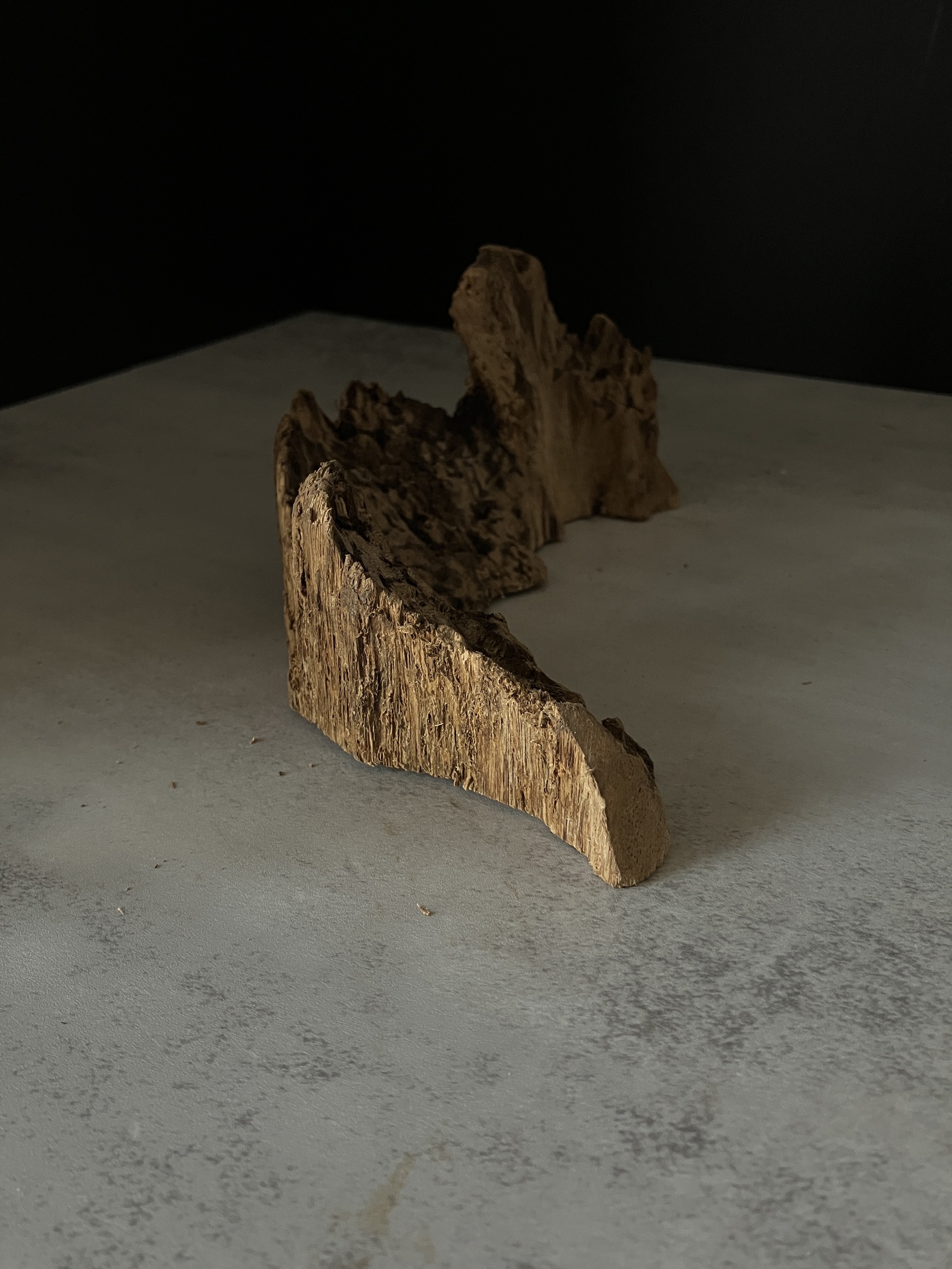 image_E5AECA6A-3A49-4804-A483-48380ED6D994_1764748227