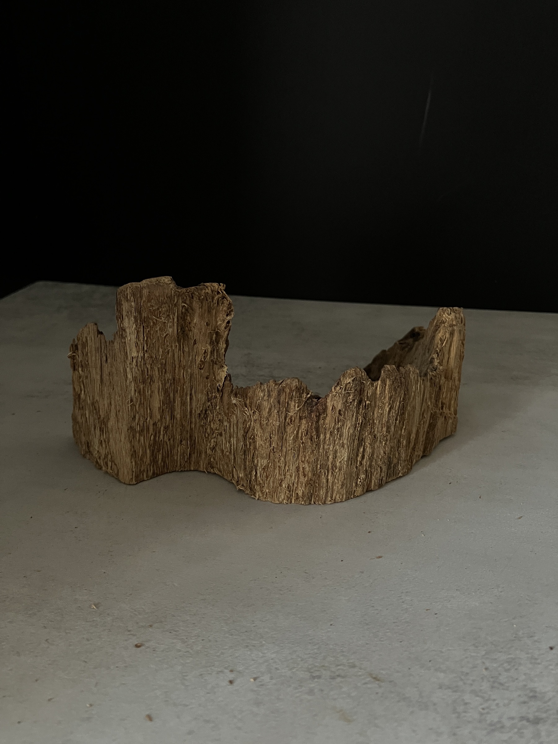 image_E80744E8-059F-4890-856E-1EA76749EEAE_1764748227