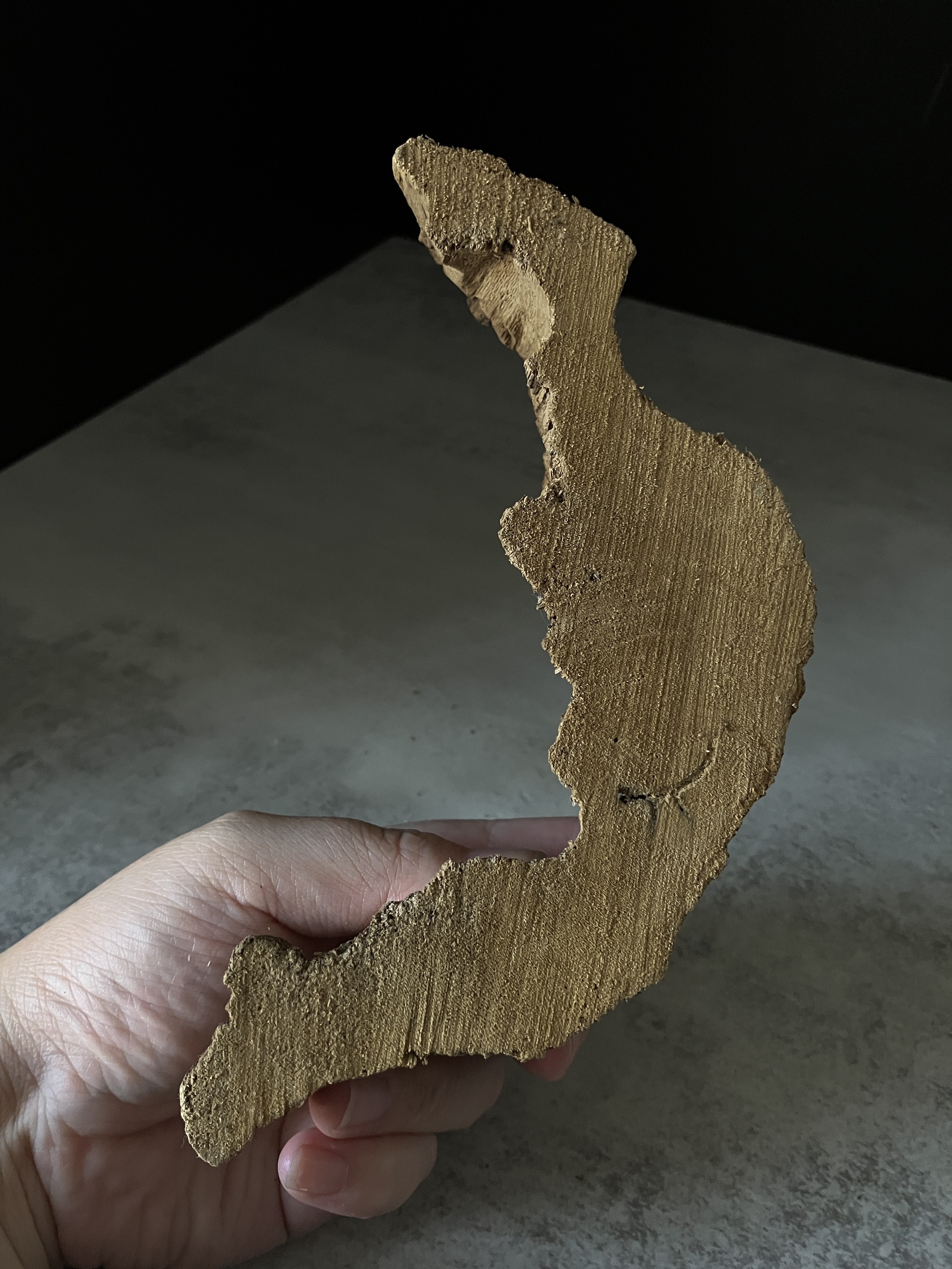 image_BAD97998-A072-4033-BECF-9DAF67D6EBED_1764748227